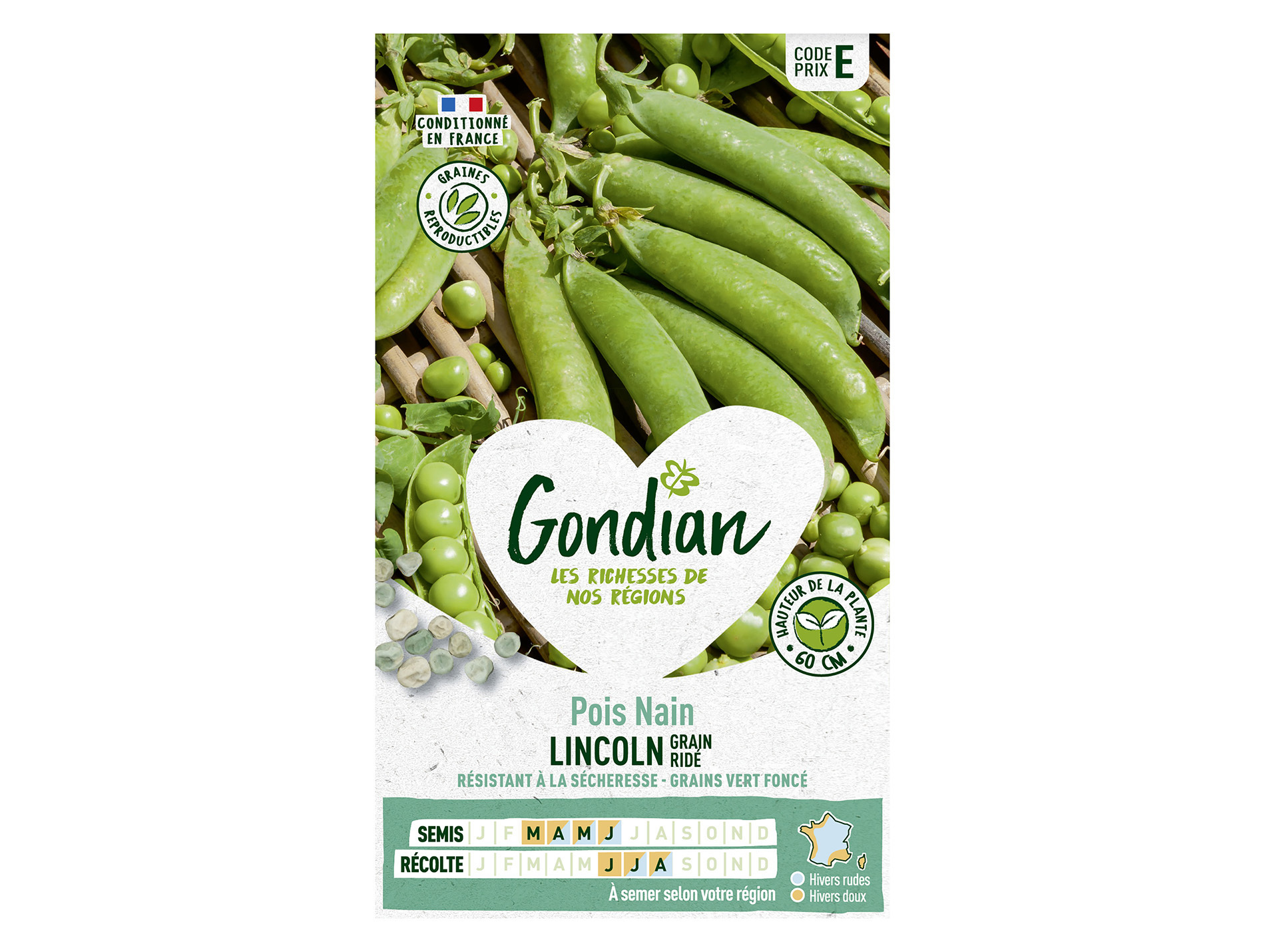Pois nain Lincoln GONDIAN Série E