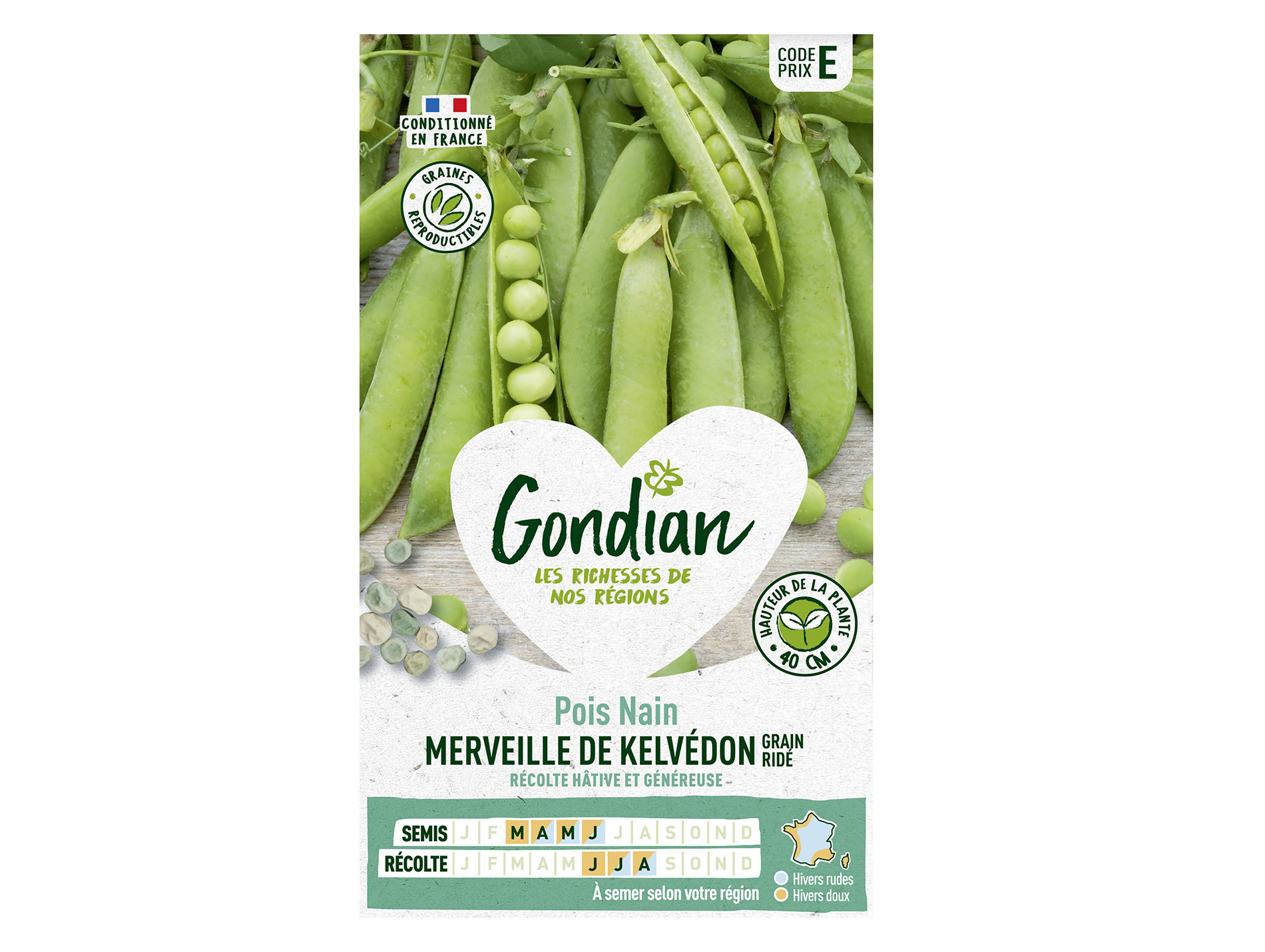 Pois nain Merveille Kelvedon GONDIAN Série E