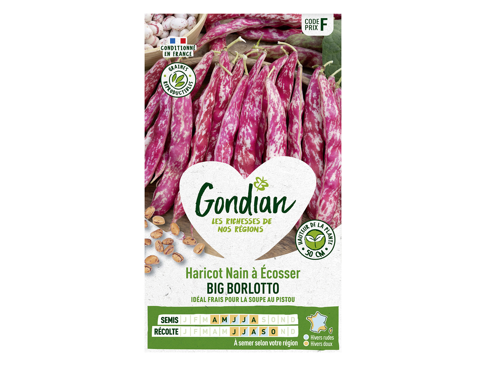 Haricot big Borlotto nain à écosser GONDIAN Série F
