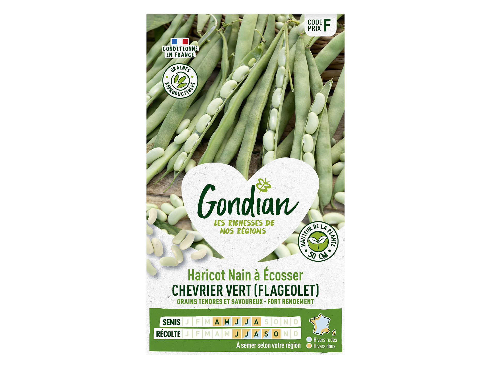 Haricot Chevier vert nain à écosser GONDIAN Série F