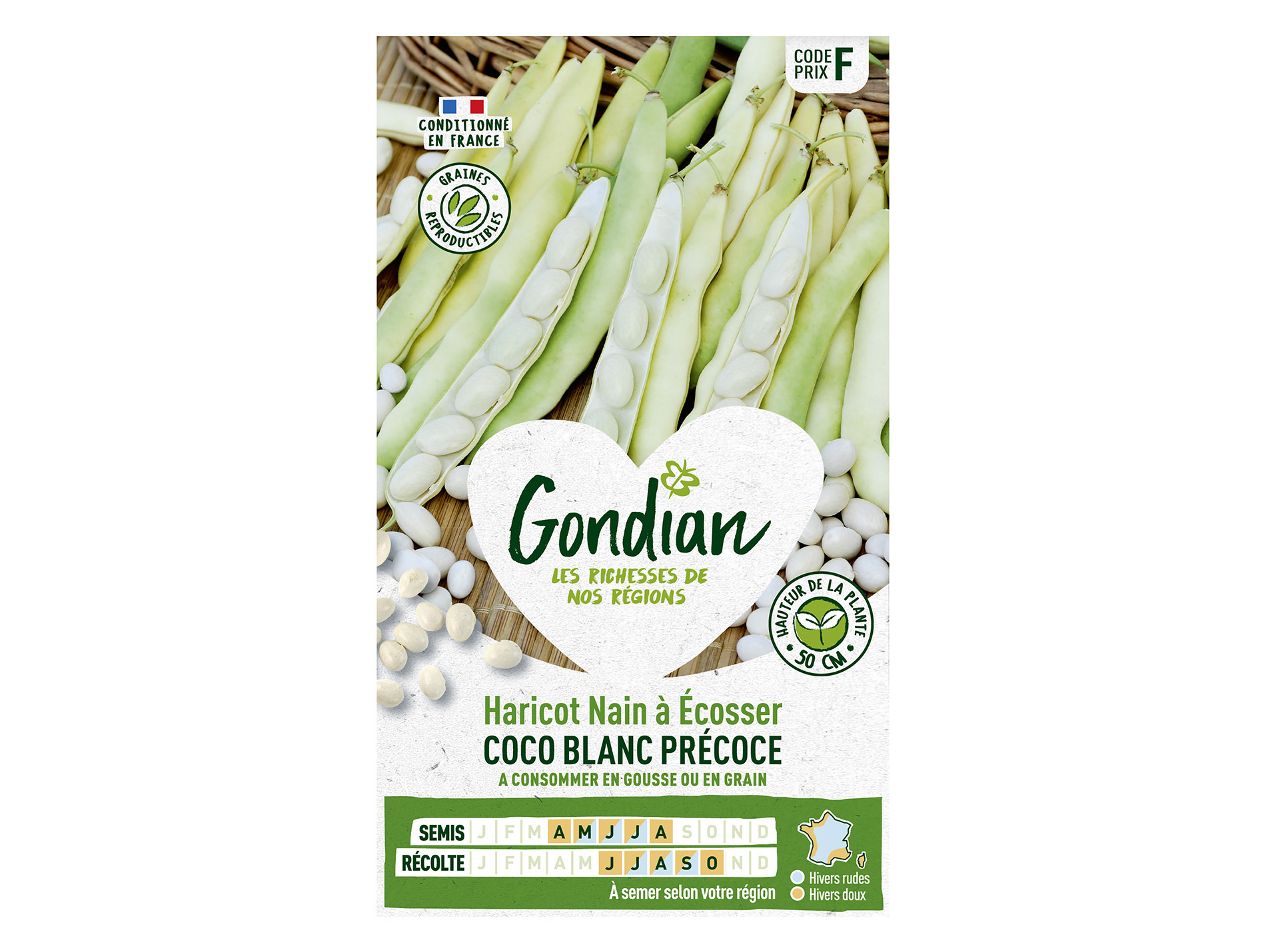 Haricot Coco Blanc nain à écosser GONDIAN Série F