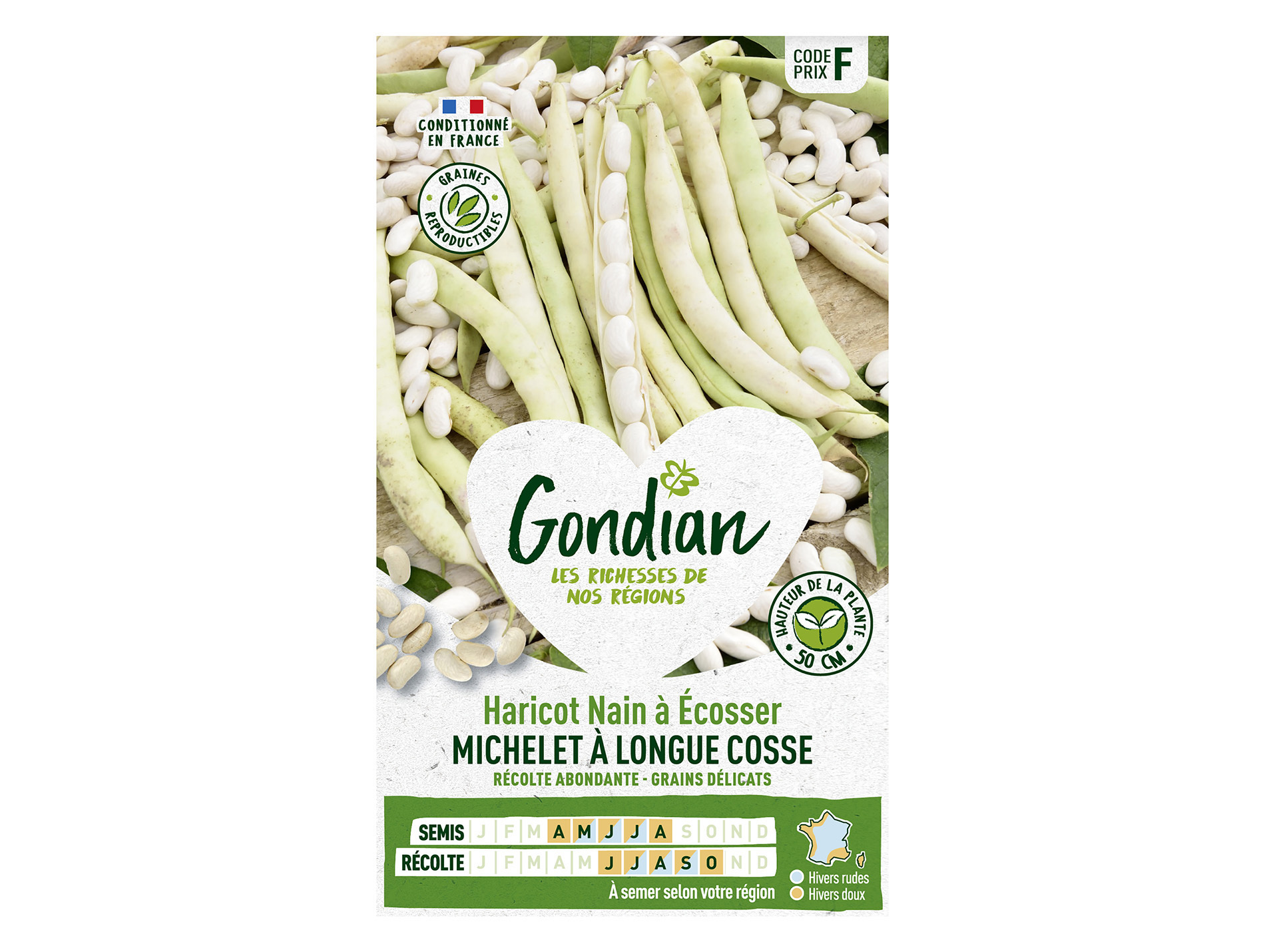 Haricot Michelet nain GONDIAN Série F
