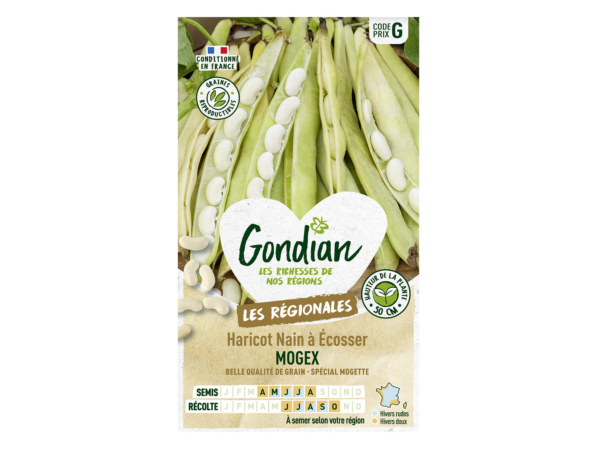 Haricot Mogex nain GONDIAN Série G