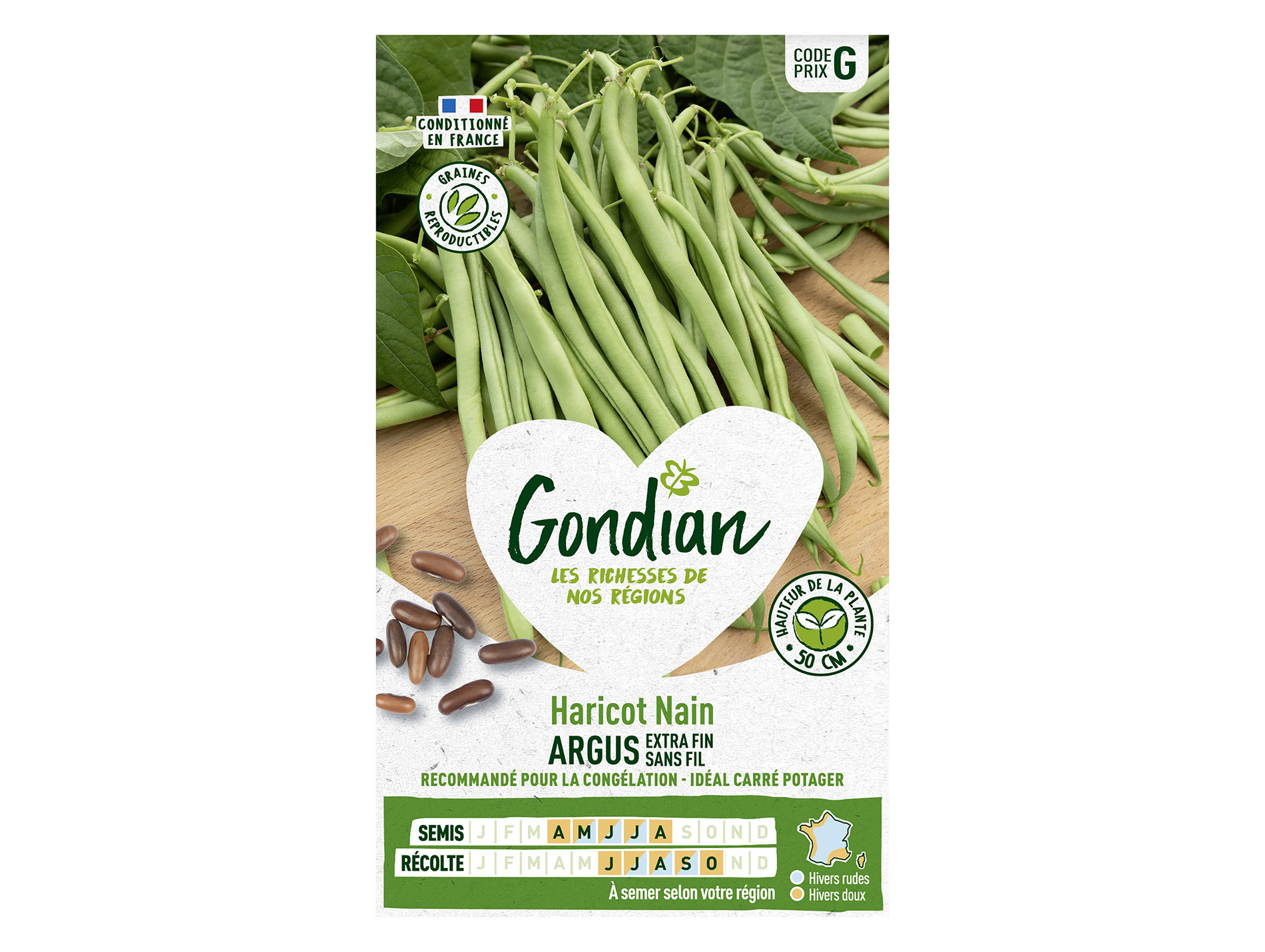Haricot Argus nain sans fil GONDIAN Série G