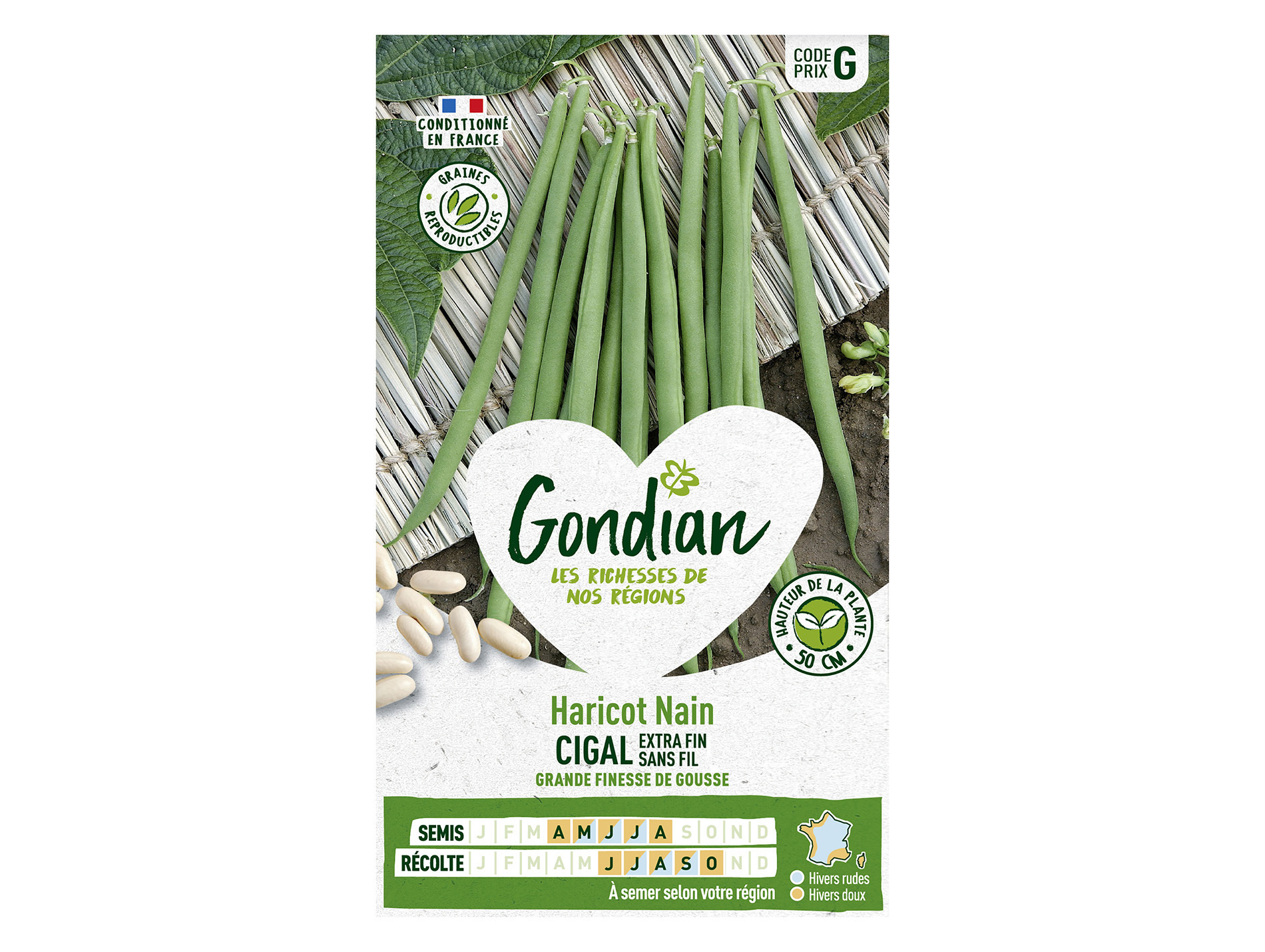 Haricot Cigal nain sans fil GONDIAN Série g