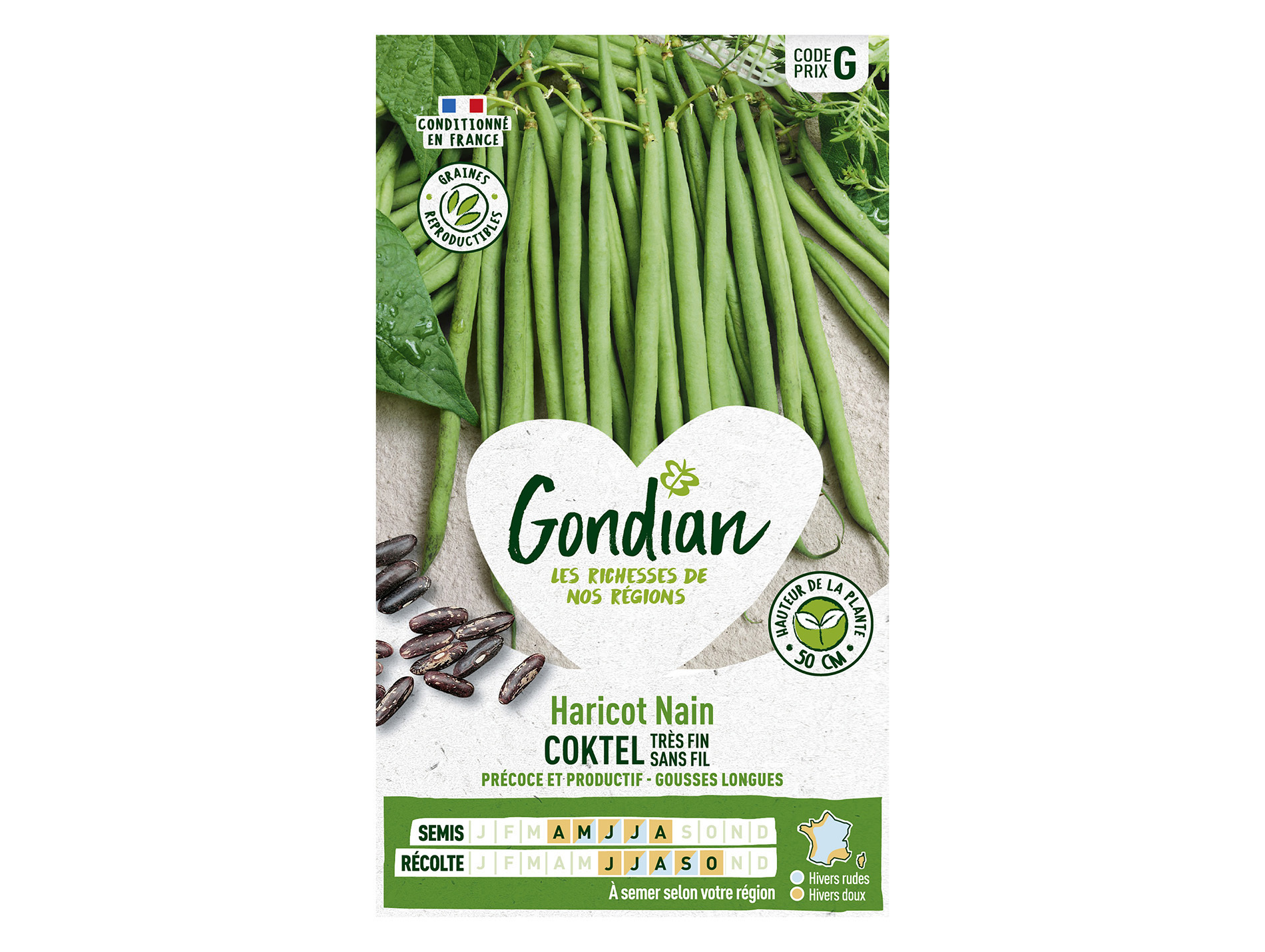 Haricot Coktel nain sans fil GONDIAN Série G