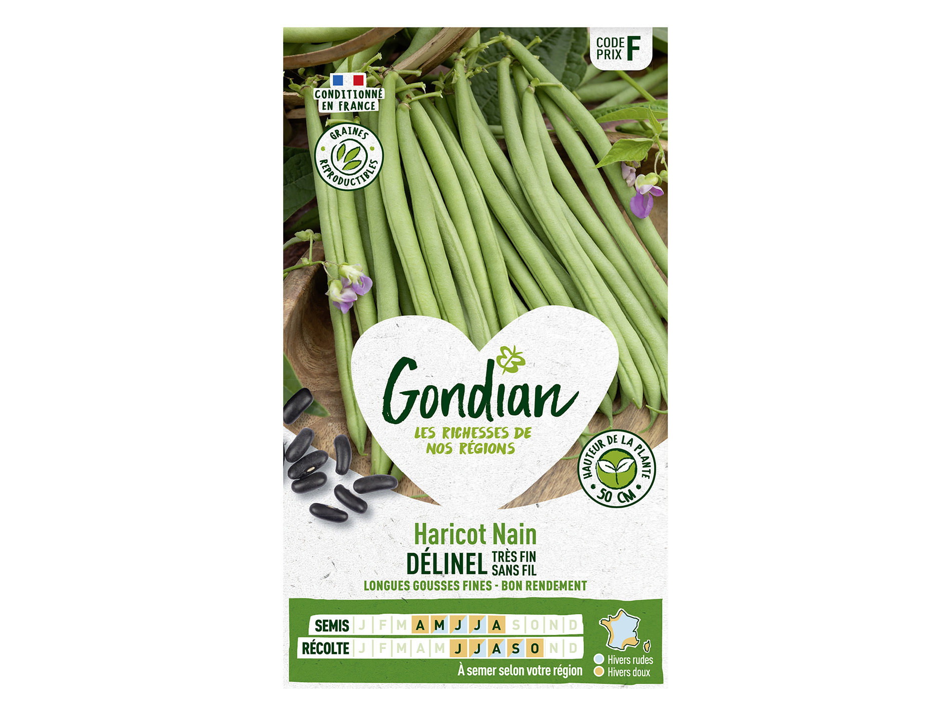 Haricot Delinel nain sans fil GONDIAN Série F