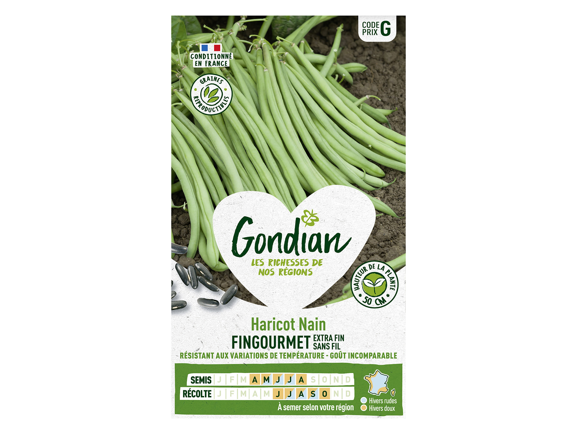 Haricot Fingourmet nain sans fil GONDIAN Série G