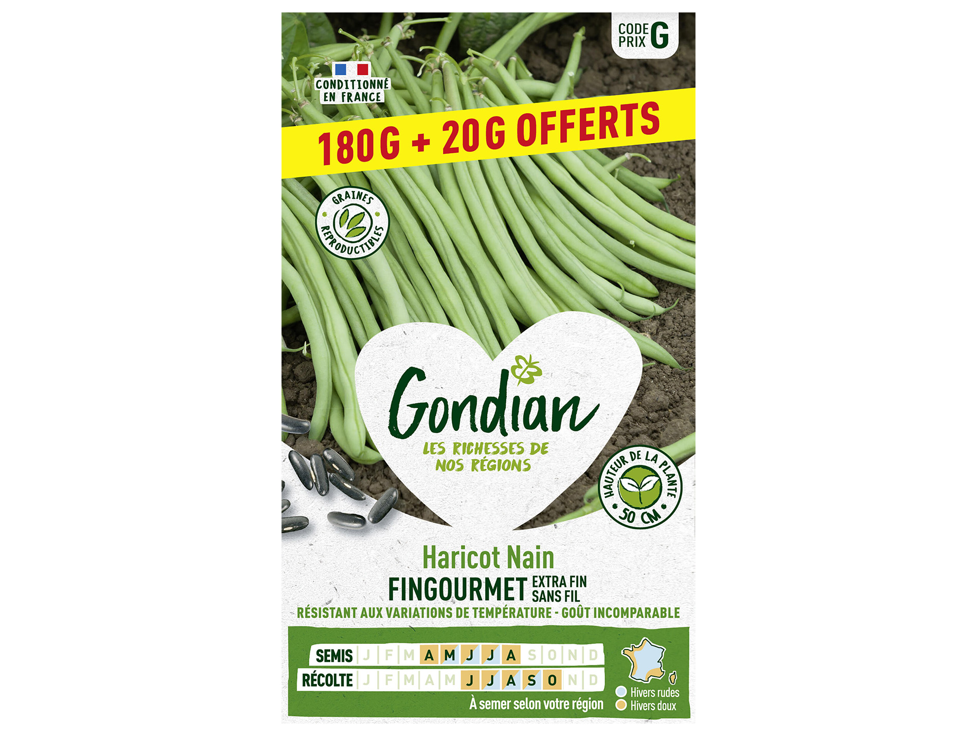 Haricot Fingourmet nain sans fil GONDIAN Série G 20g