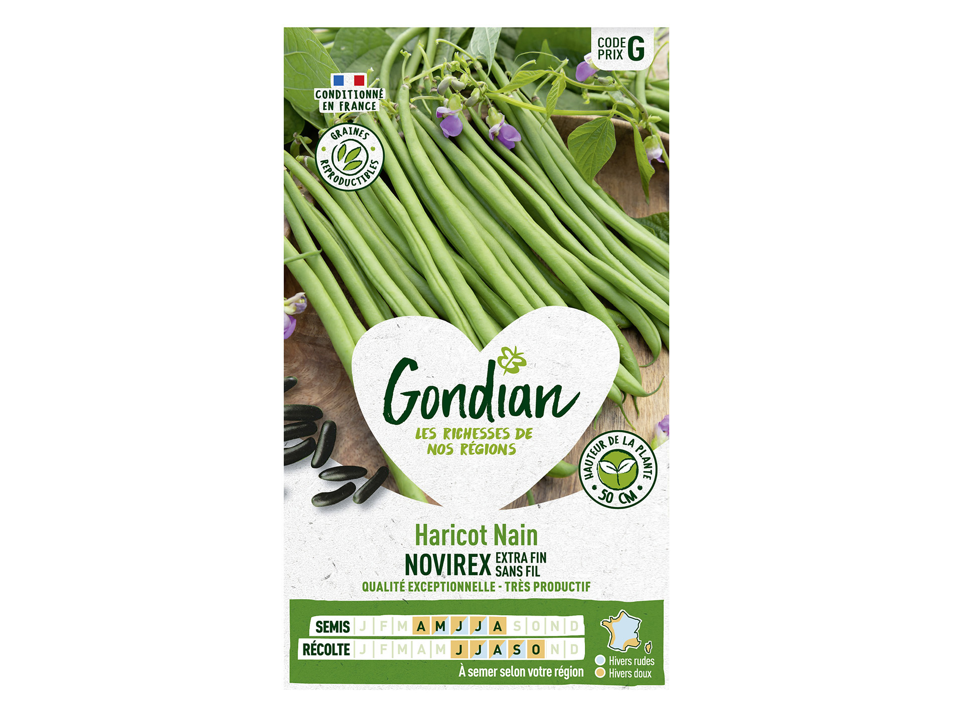 Haricot Novirex nain sans fil GONDIAN Série G