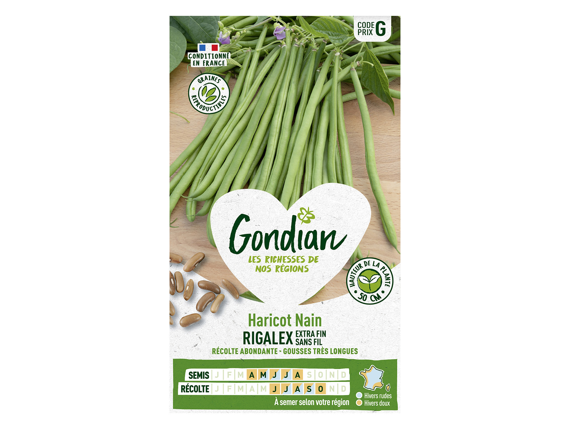 Haricot Rigalex nain sans fil GONDIAN Série G