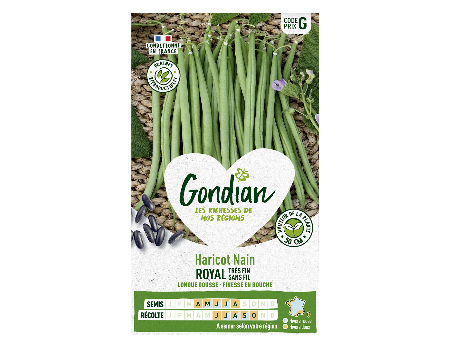 Haricot Royal nain sans fil GONDIAN Série G
