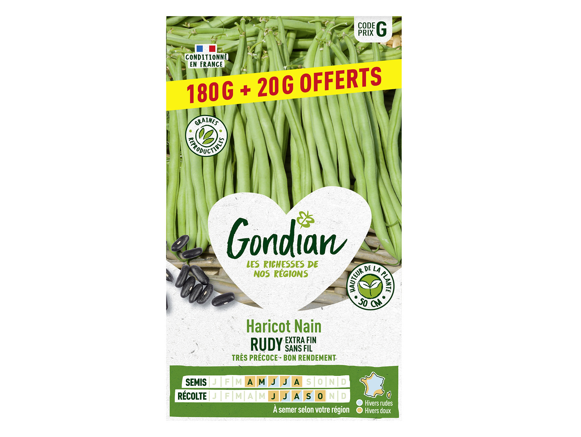 Haricot Rudy nain sans fil GONDIAN Série G 20g