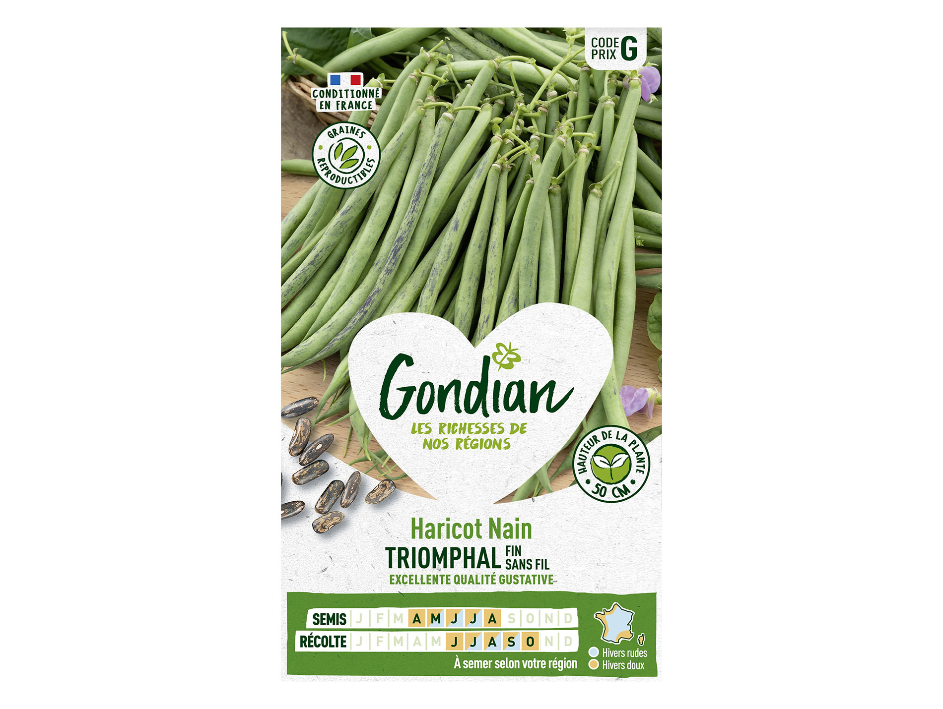 Haricot Triomphal nain sans fil GONDIAN Série G
