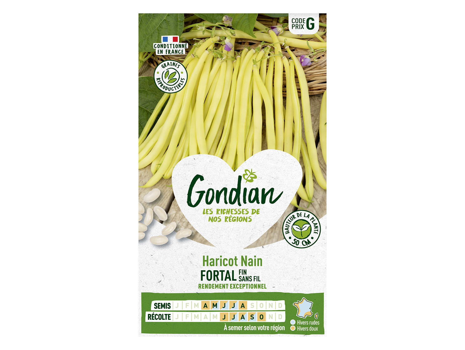 Haricot Fortal nain sans fil GONDIAN Série G