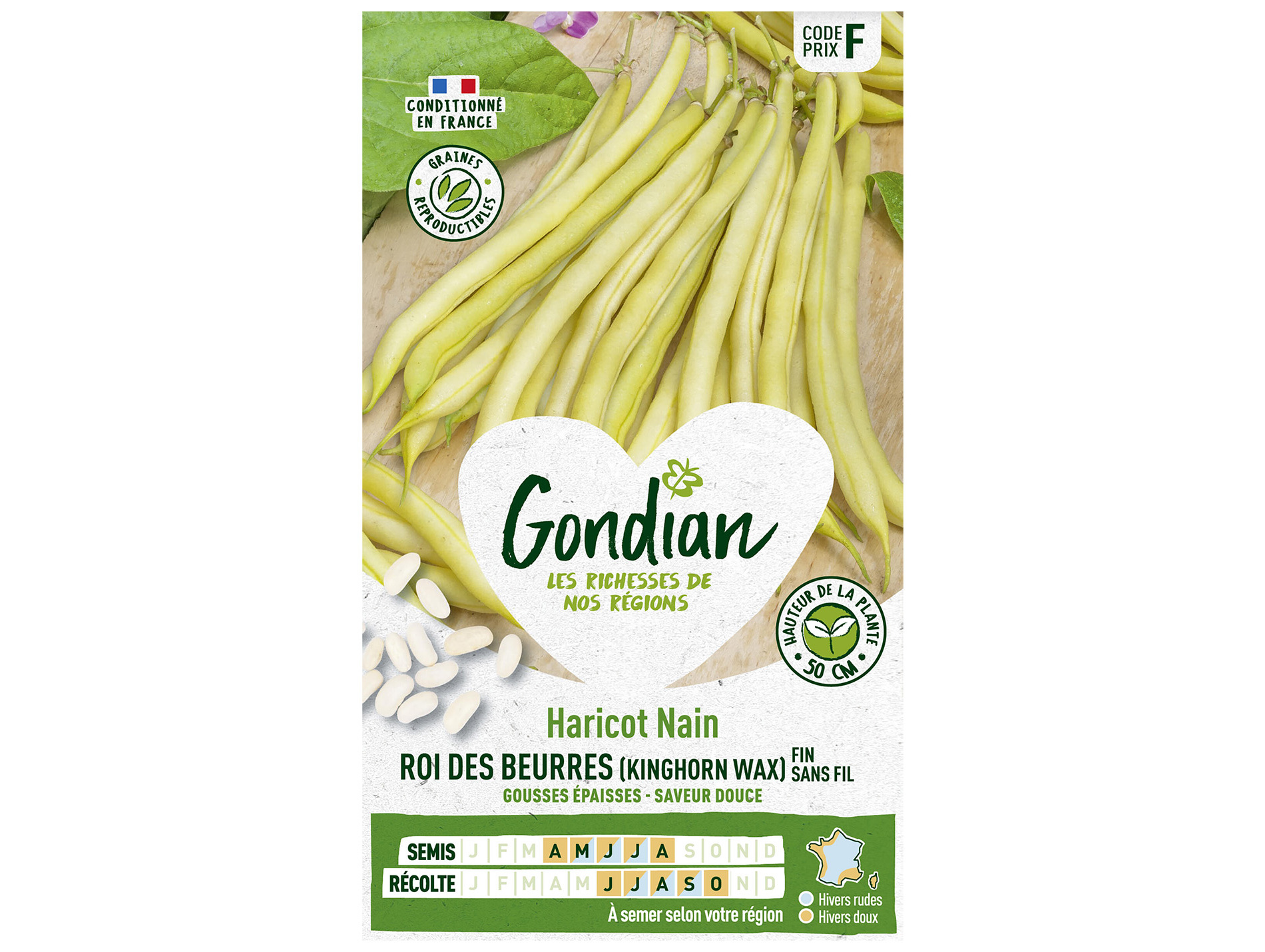 Haricot Kinghorn Wax nain GONDIAN Série F