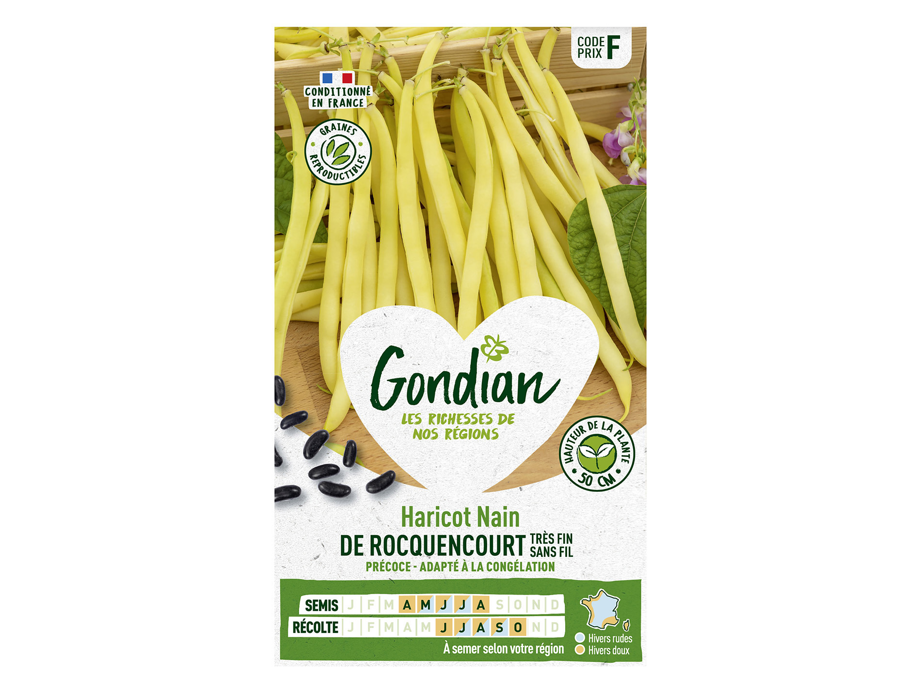 Haricot Rocquencourt nain GONDIAN Série F