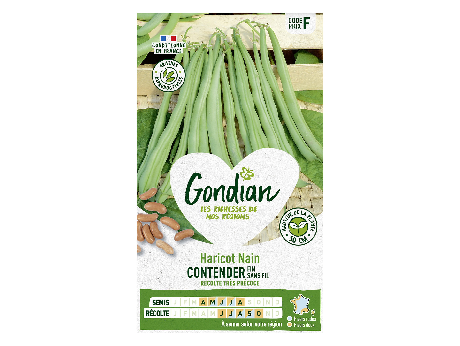 Haricot Contender mangetout nain GONDIAN Série F