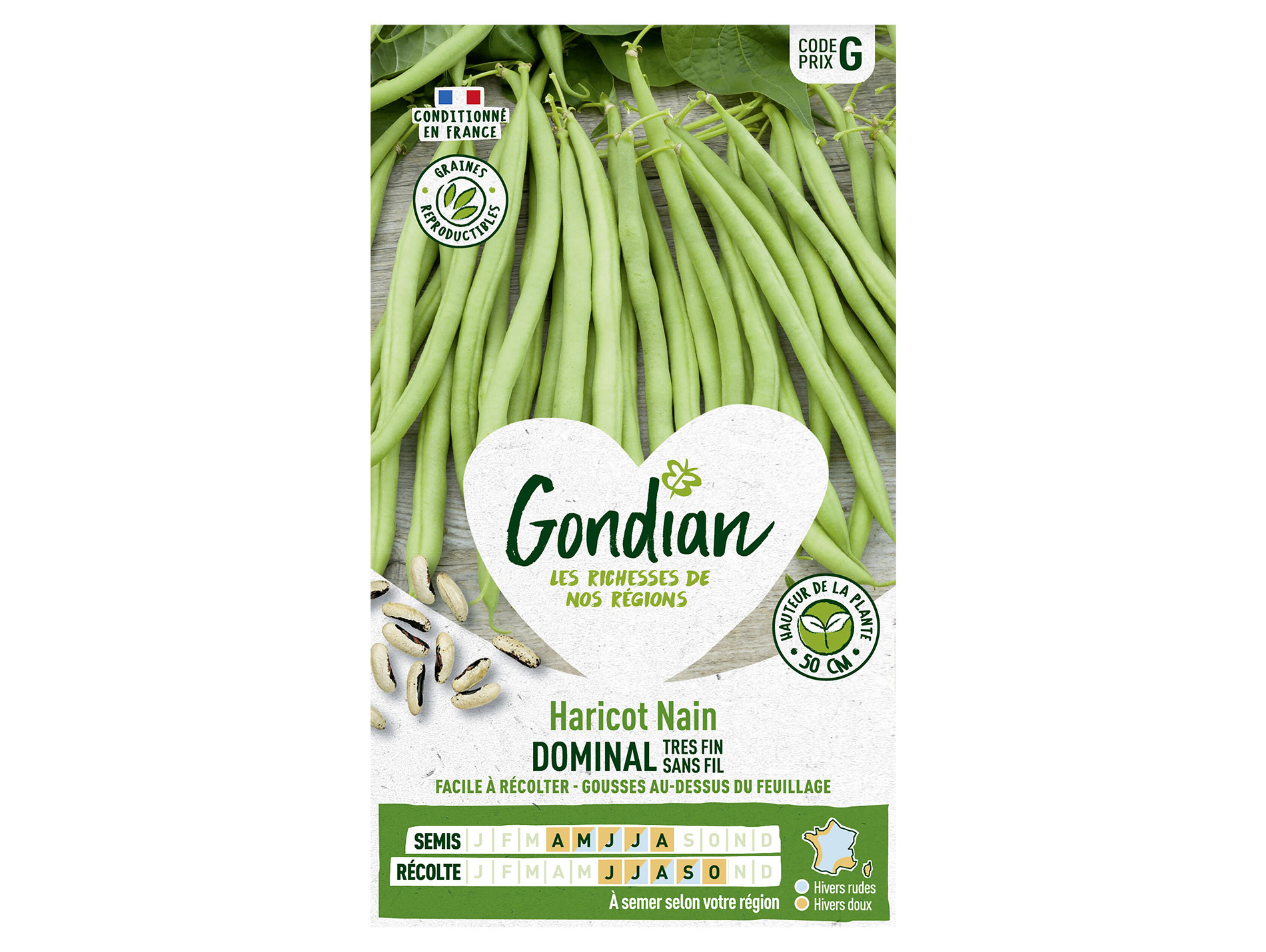 Haricot Dominal nain GONDIAN Série G