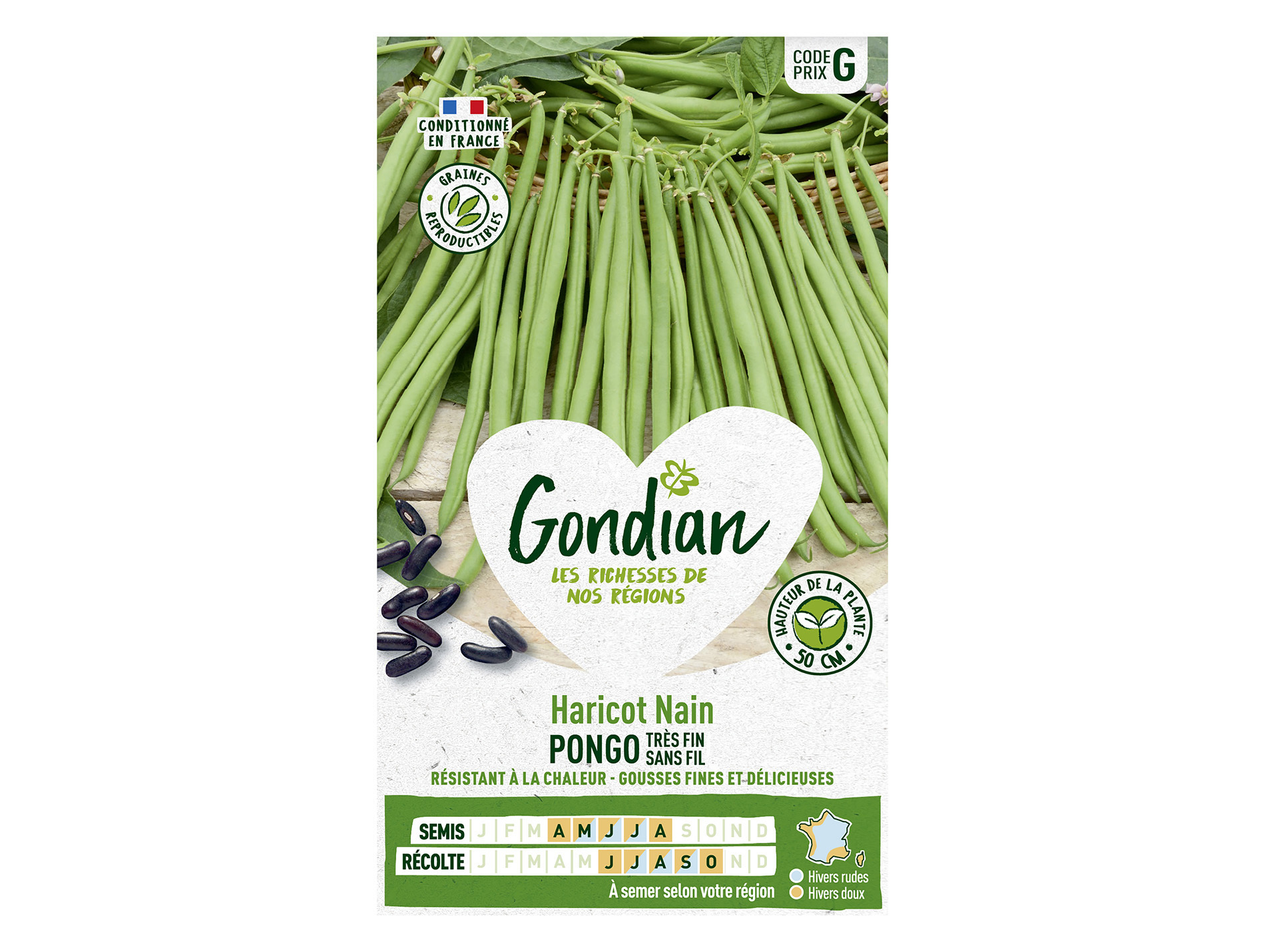 Haricot Pongo nain GONDIAN Série G