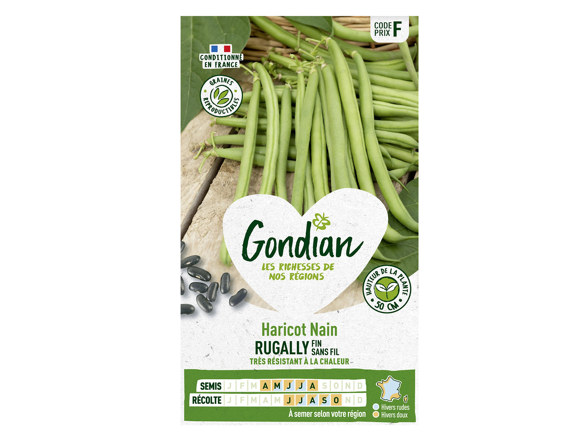 Haricot Rugally nain GONDIAN Série F