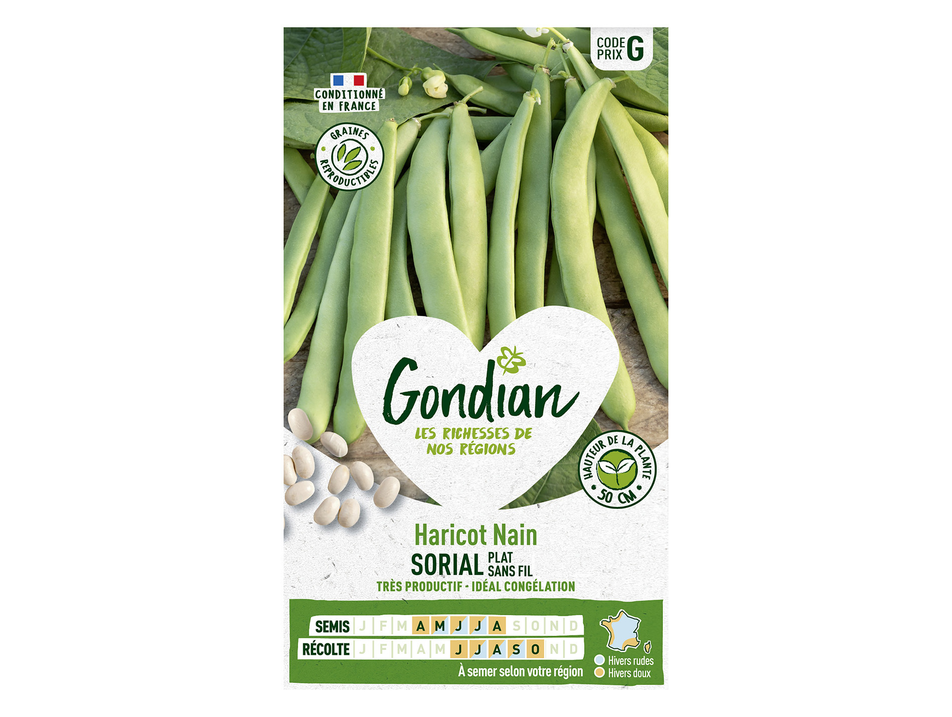 Haricot Sorial nain plat GONDIAN Série G