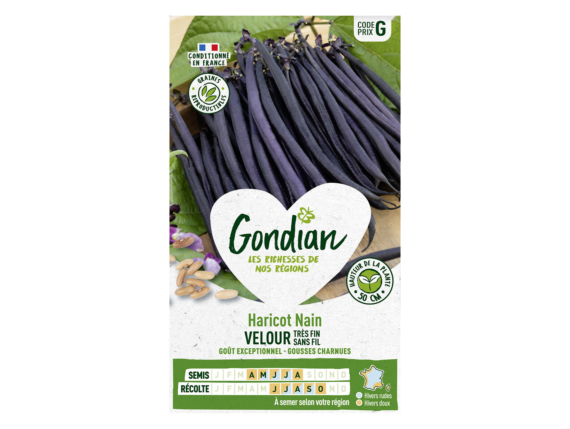 Haricot Velour nain GONDIAN Série G