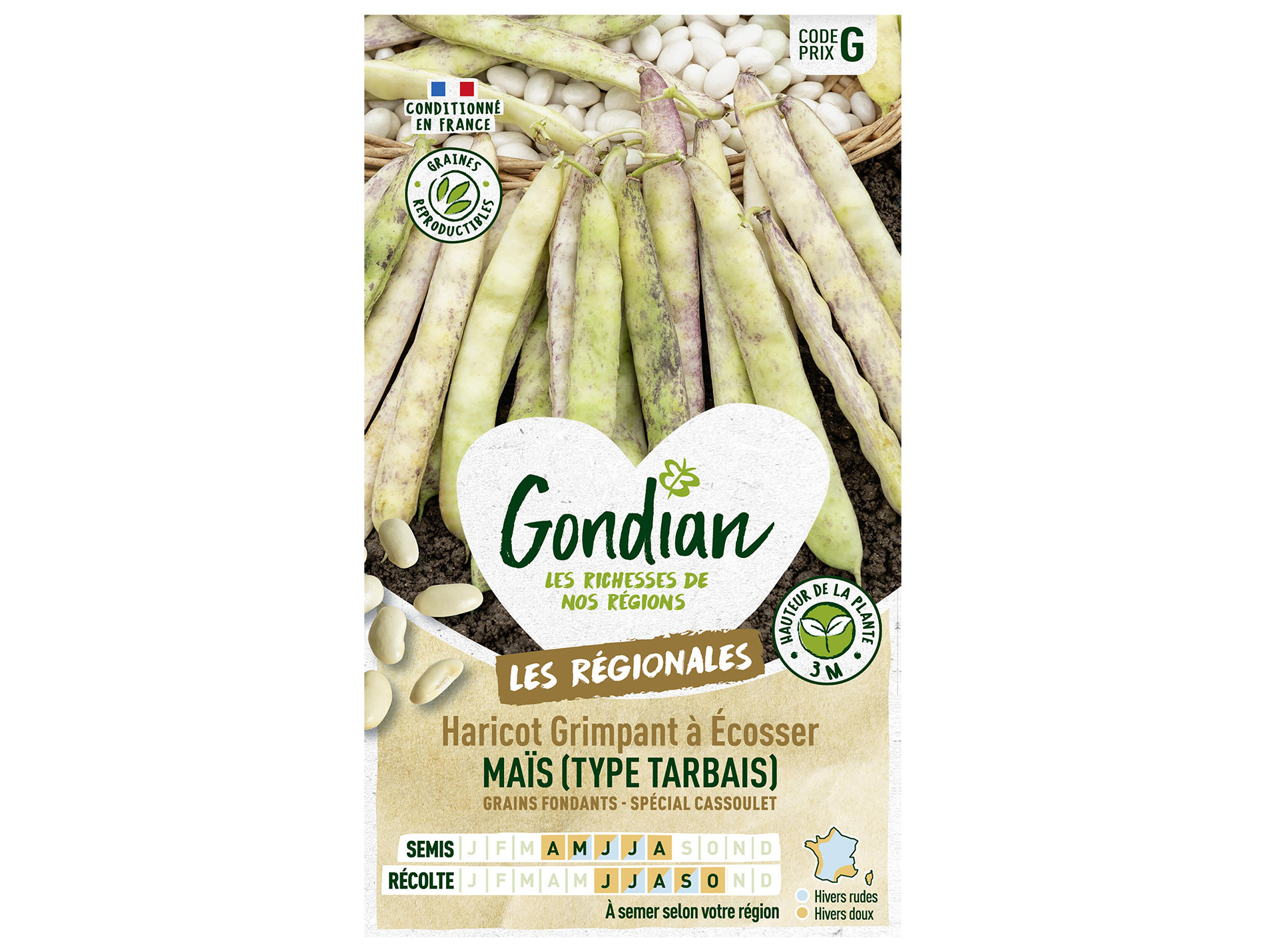 Haricot maïs Tarbais GONDIAN Série G