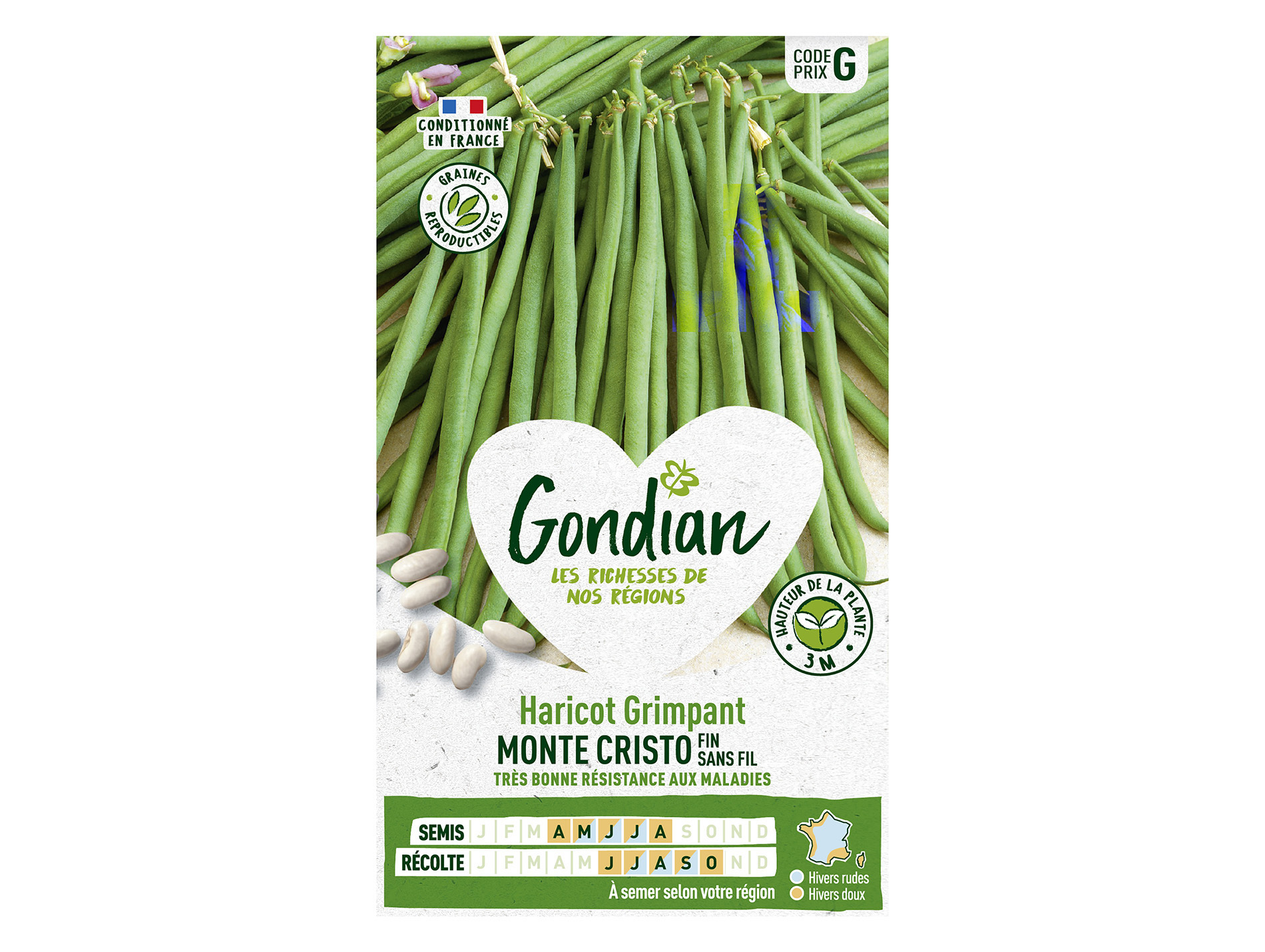 Haricot Monte cristo GONDIAN Série G