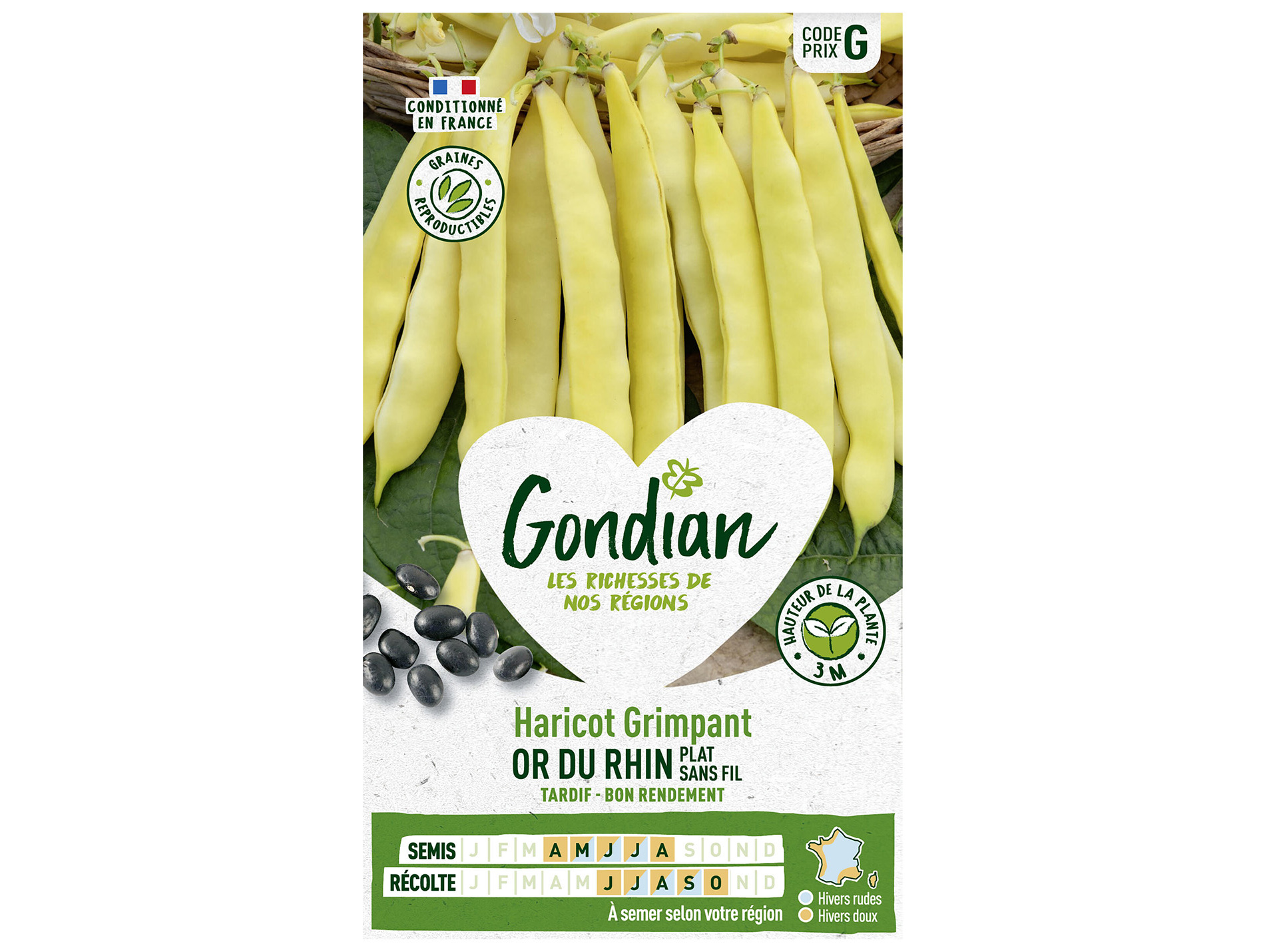 Haricot or Rhin GONDIAN Série G