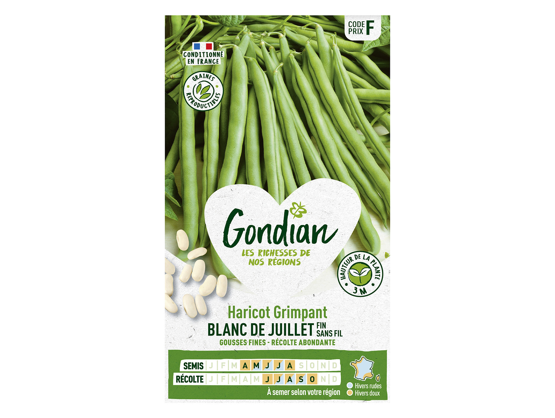Haricot perfection blanc GONDIAN Série F