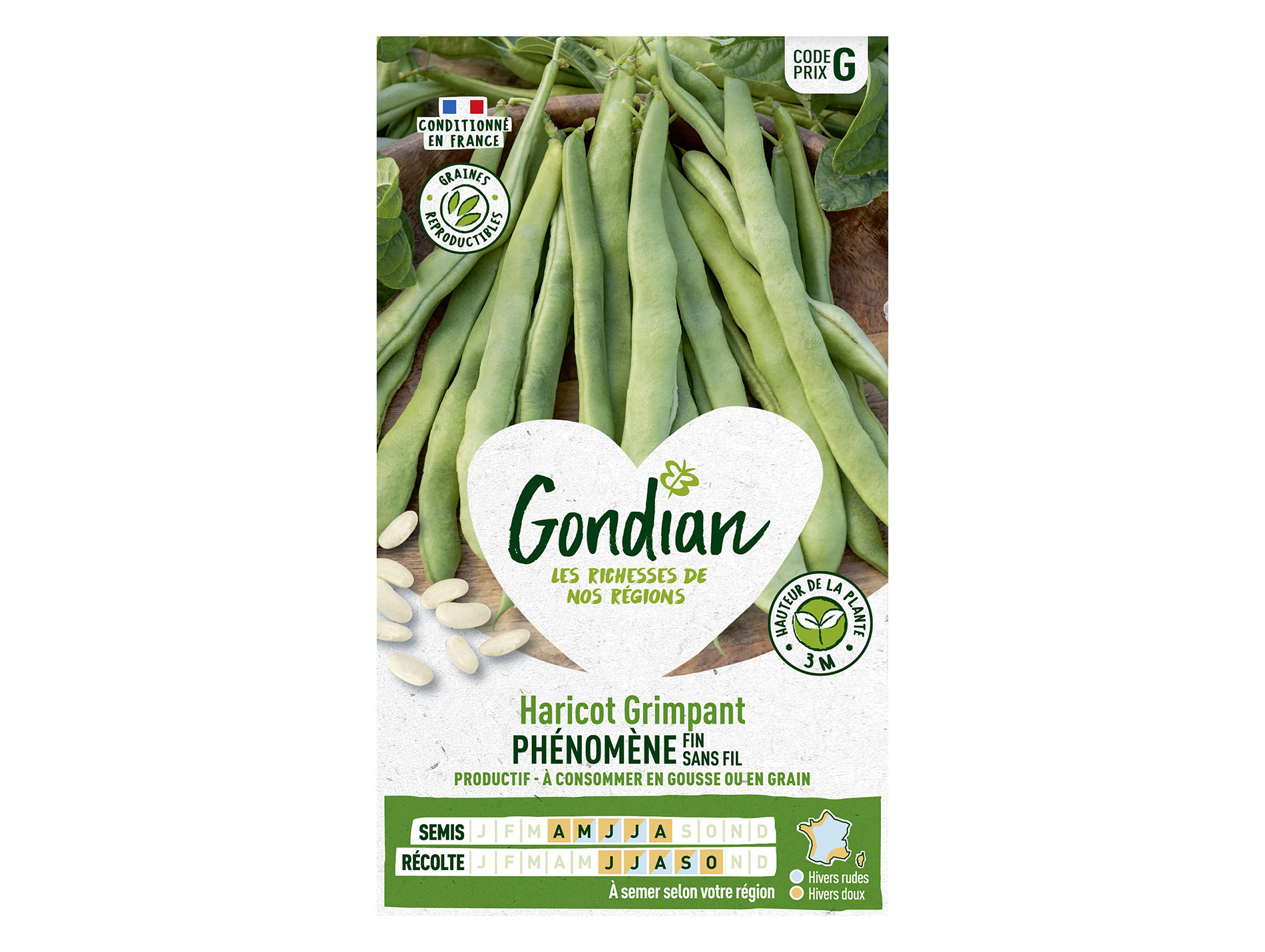 Haricot Phénomène GONDIAN Série G