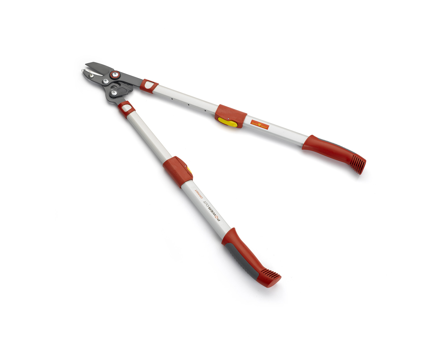 Elagueur téléscopique à coupe mixte OUTILS WOLF 50mm