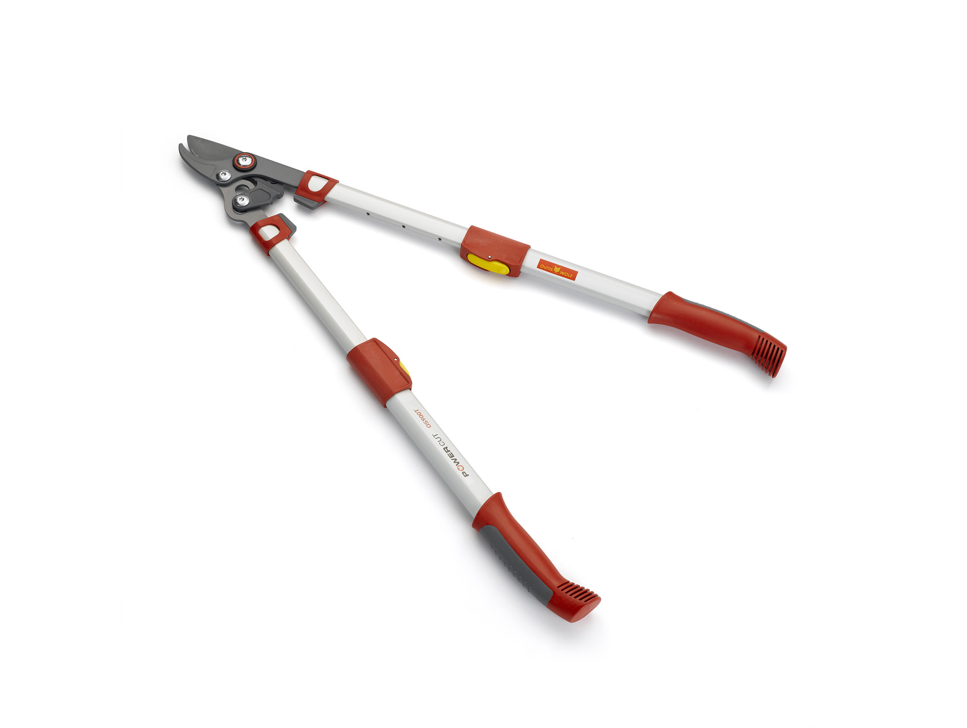 Elagueur téléscopique à coupe franche OUTILS WOLF 50mm