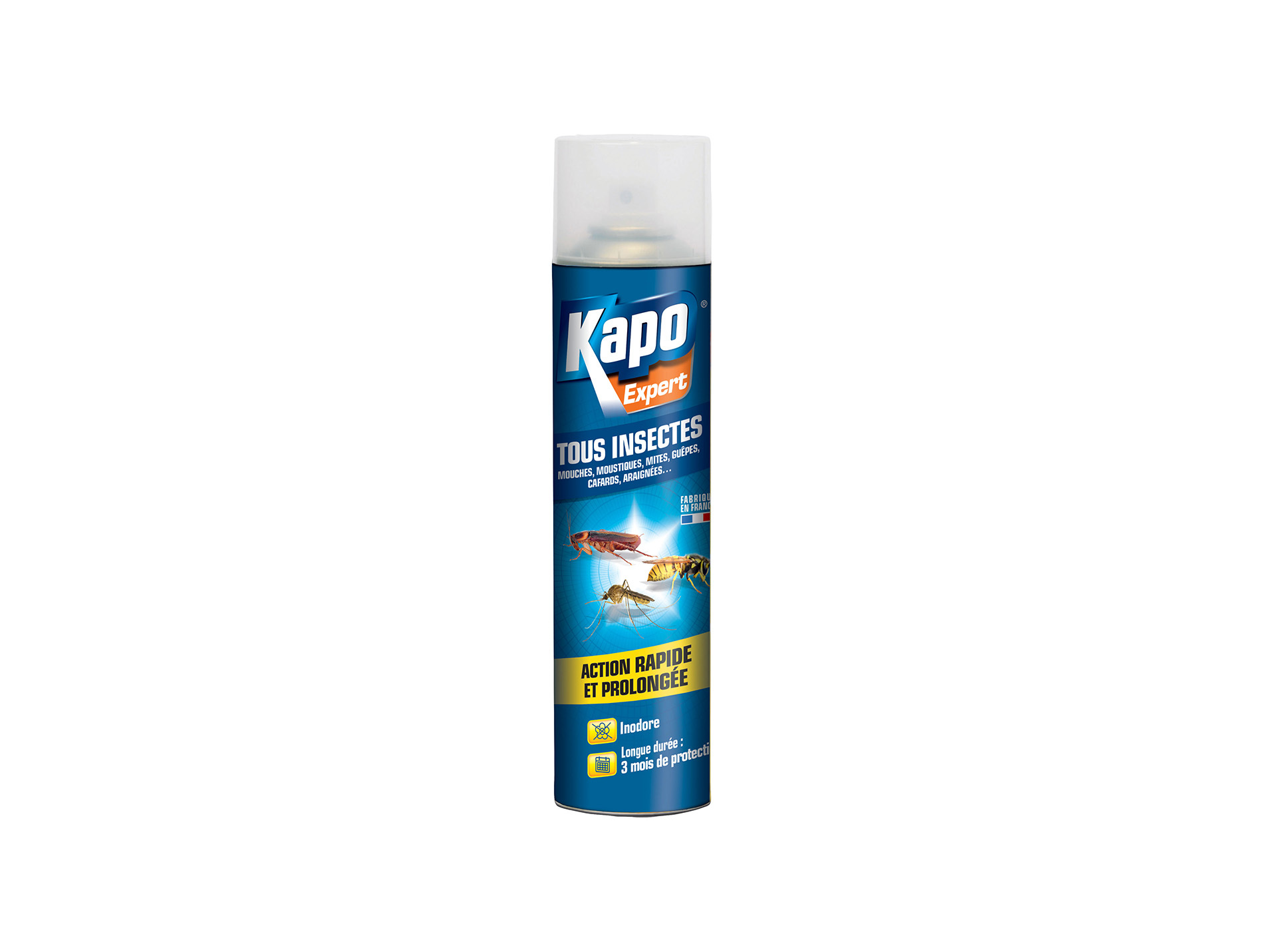 Aérosol tous insectes KAPO 300ml