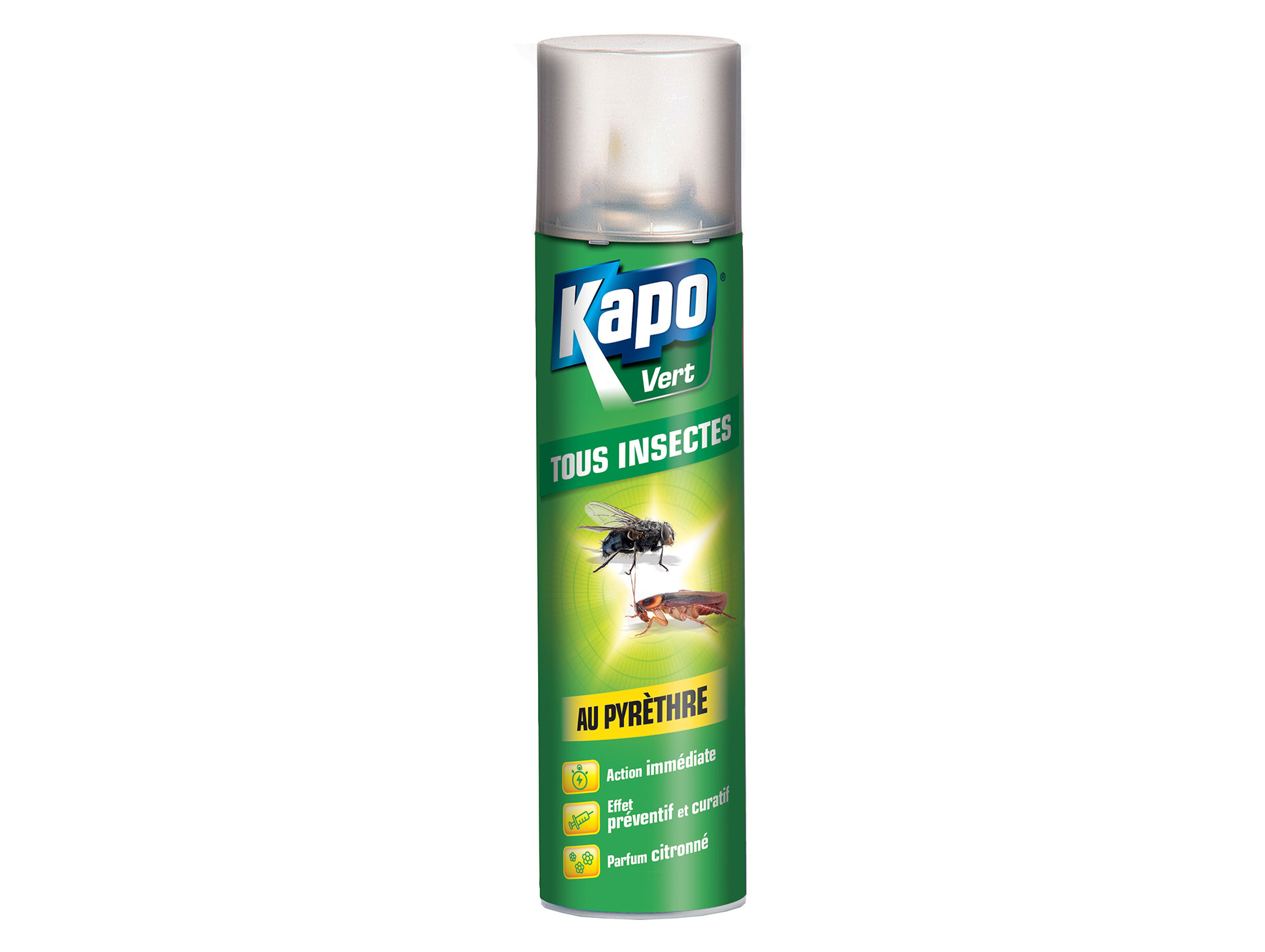 Aérosol contre tous insectes KAPO Vert 300ml