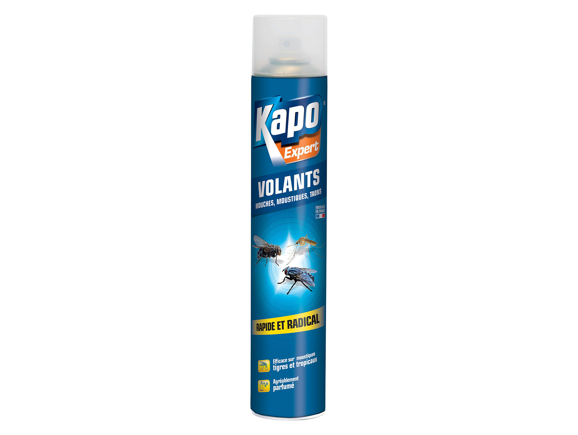 Aérosol insecticide contre les insectes volants KAPO 750ml