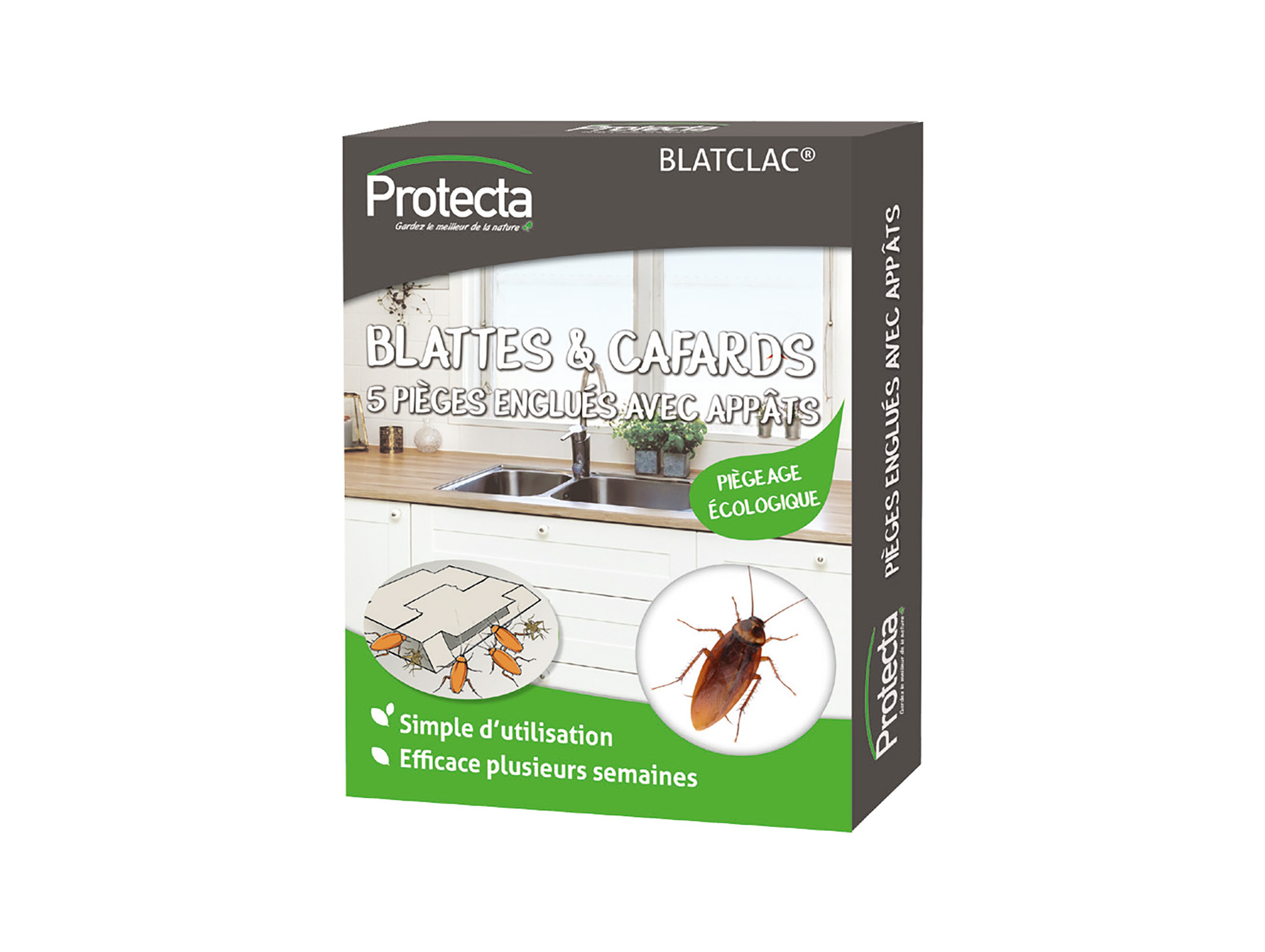Pièges englués avec appâts PROTECTA anti-blattes et cafards x5