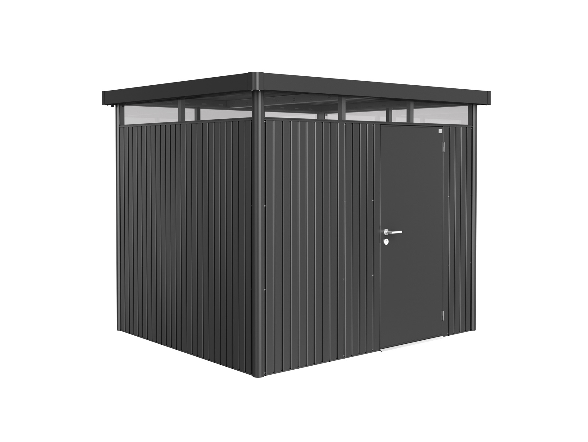 Abri jardin métal BIOHORT HighlineTH3 6,46m²gris foncé1porte