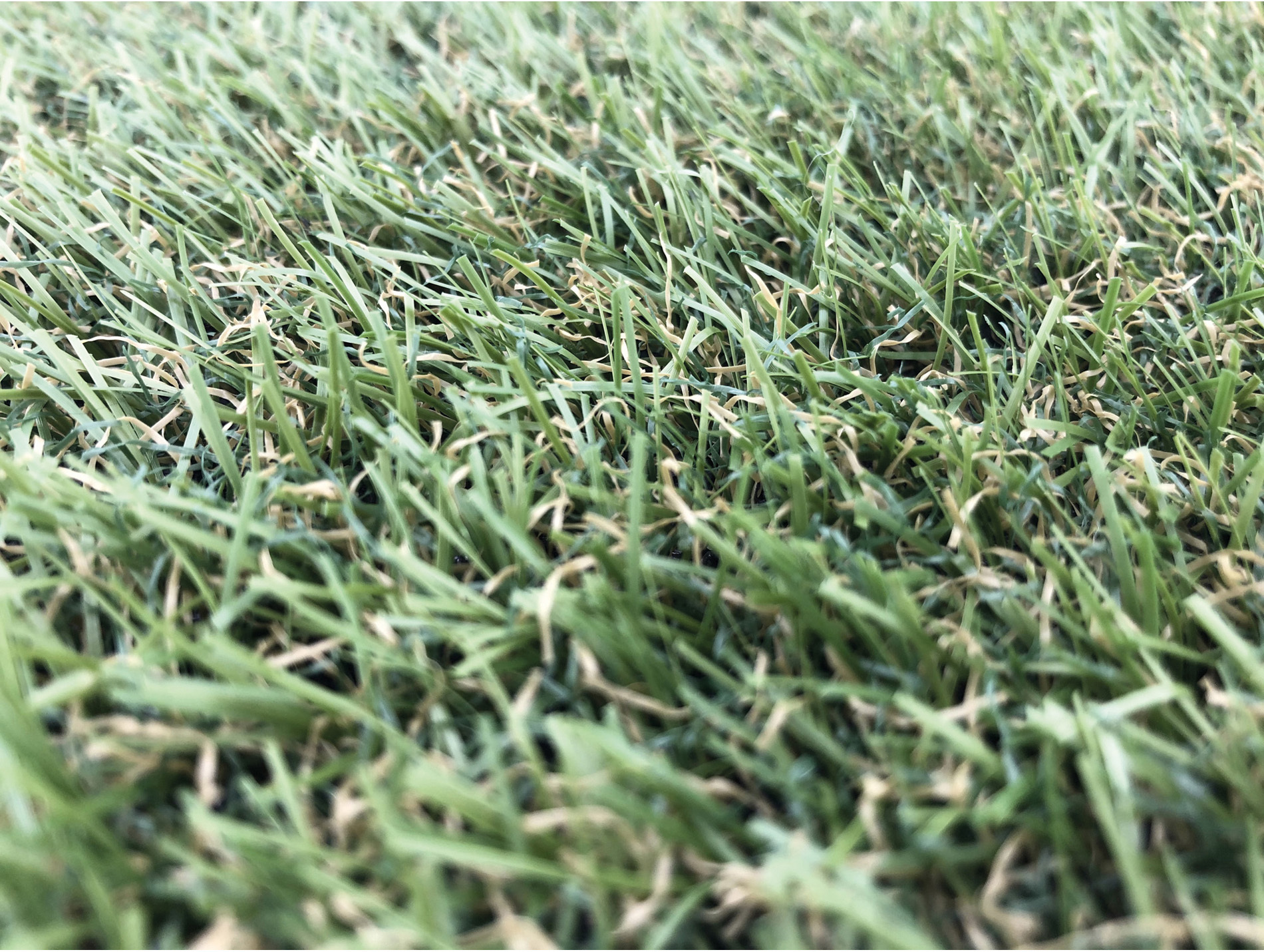 Gazon synthétique Saint Tropez 22mm 1x3m