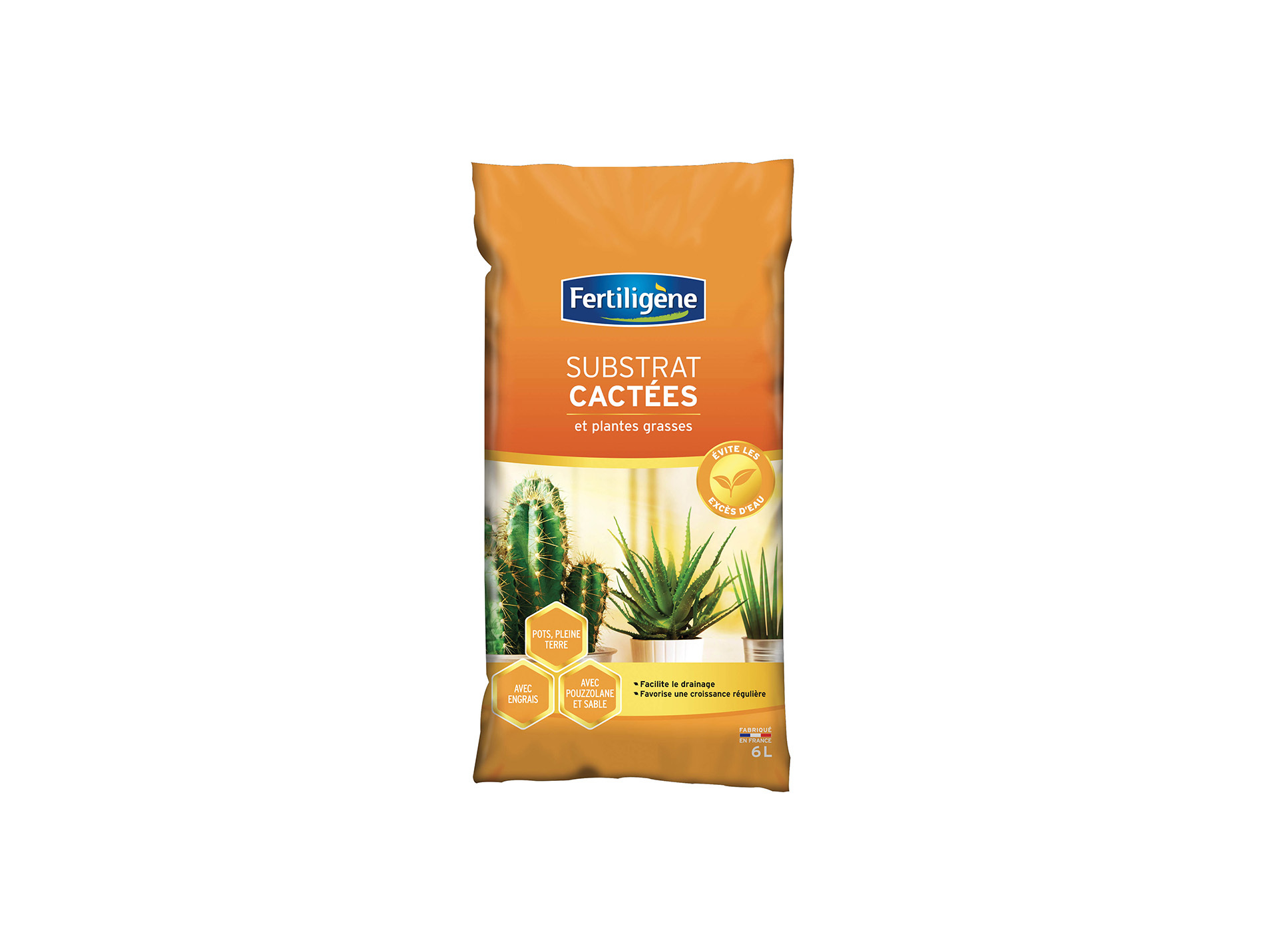 Terreau cactées FERTILIGENE 6L