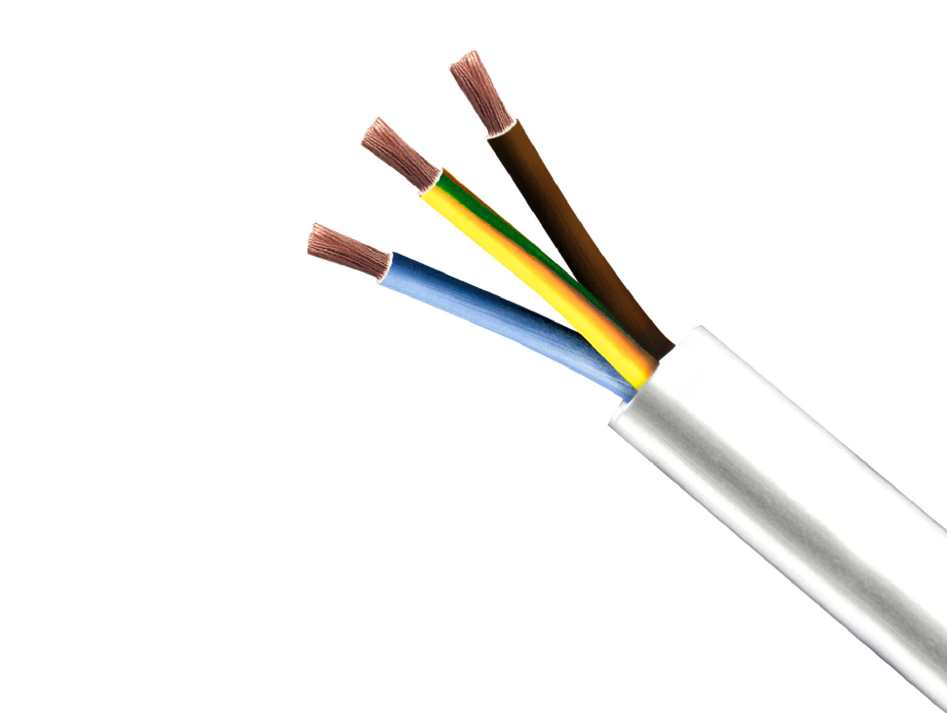 Câble électrique MIGUELEZ HO5VVF 2G1,5mm² 50m blanc