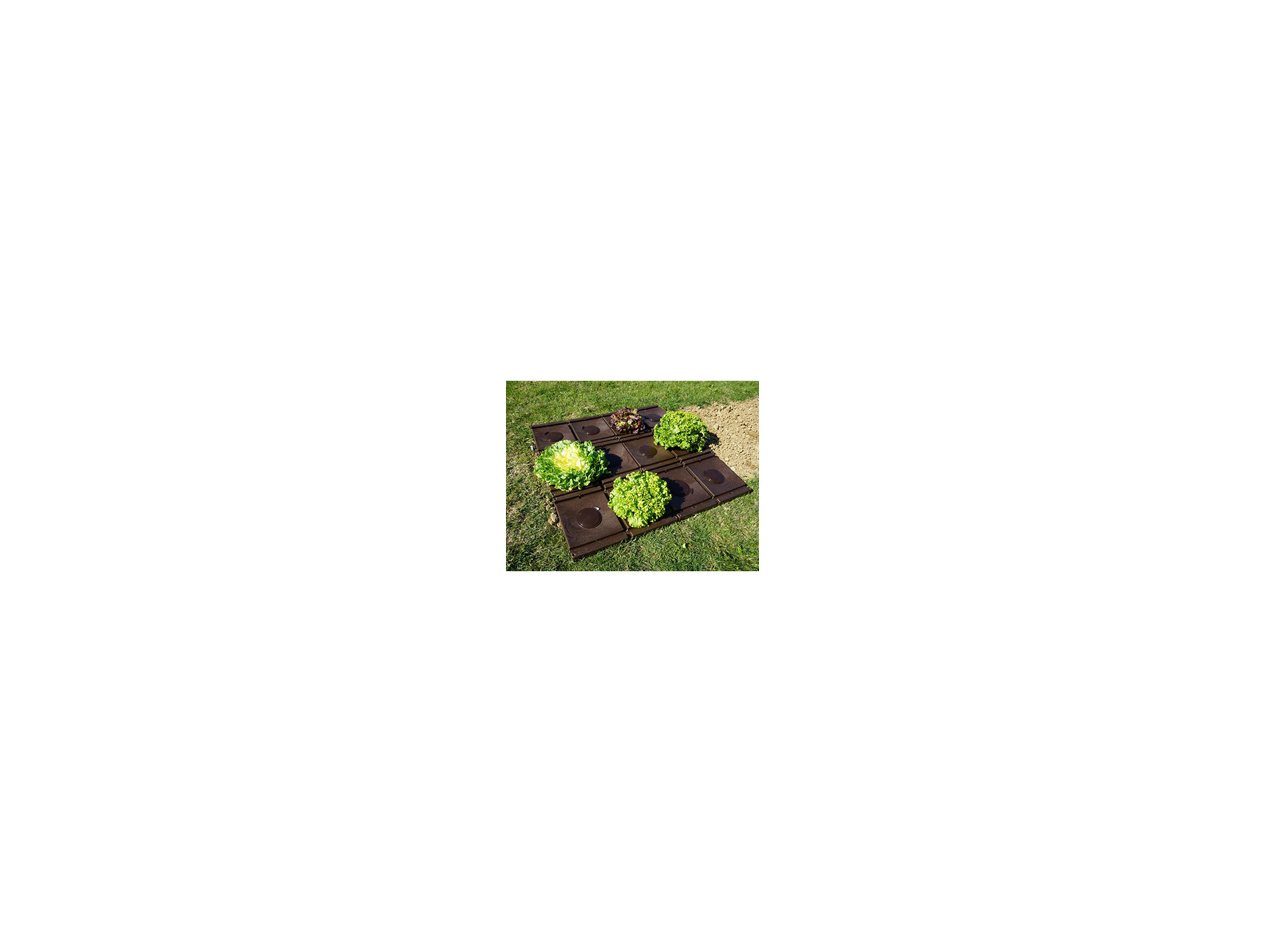 Paillage Modul'oplack x6 + bouchons