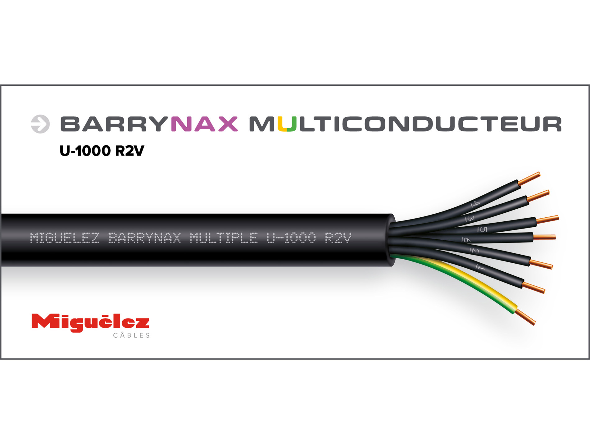 Câble électrique MIGUELEZ 1000RO2V 2x1,5mm² 50m noir