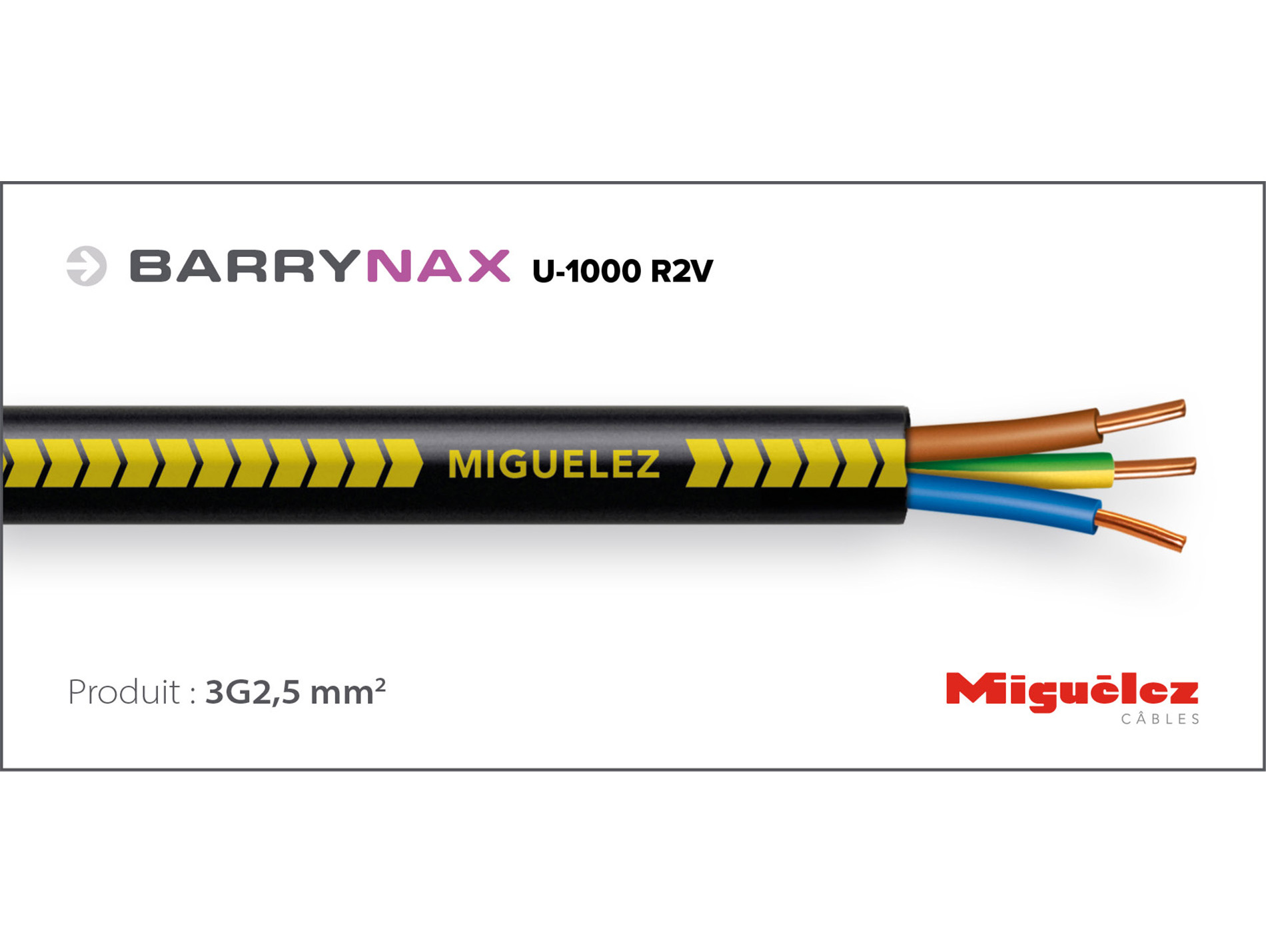 Câble électrique MIGUELEZ 1000RO2V 3G2,5mm² 100m noir