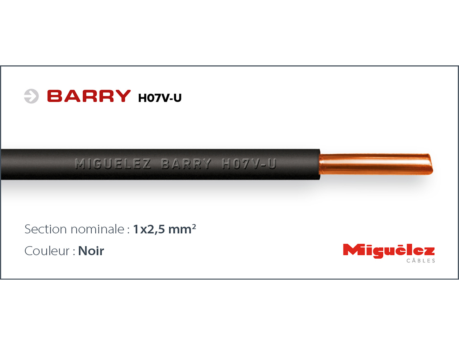 Câble électrique MIGUELEZ HO7VU 1x2,5mm² 100m noir