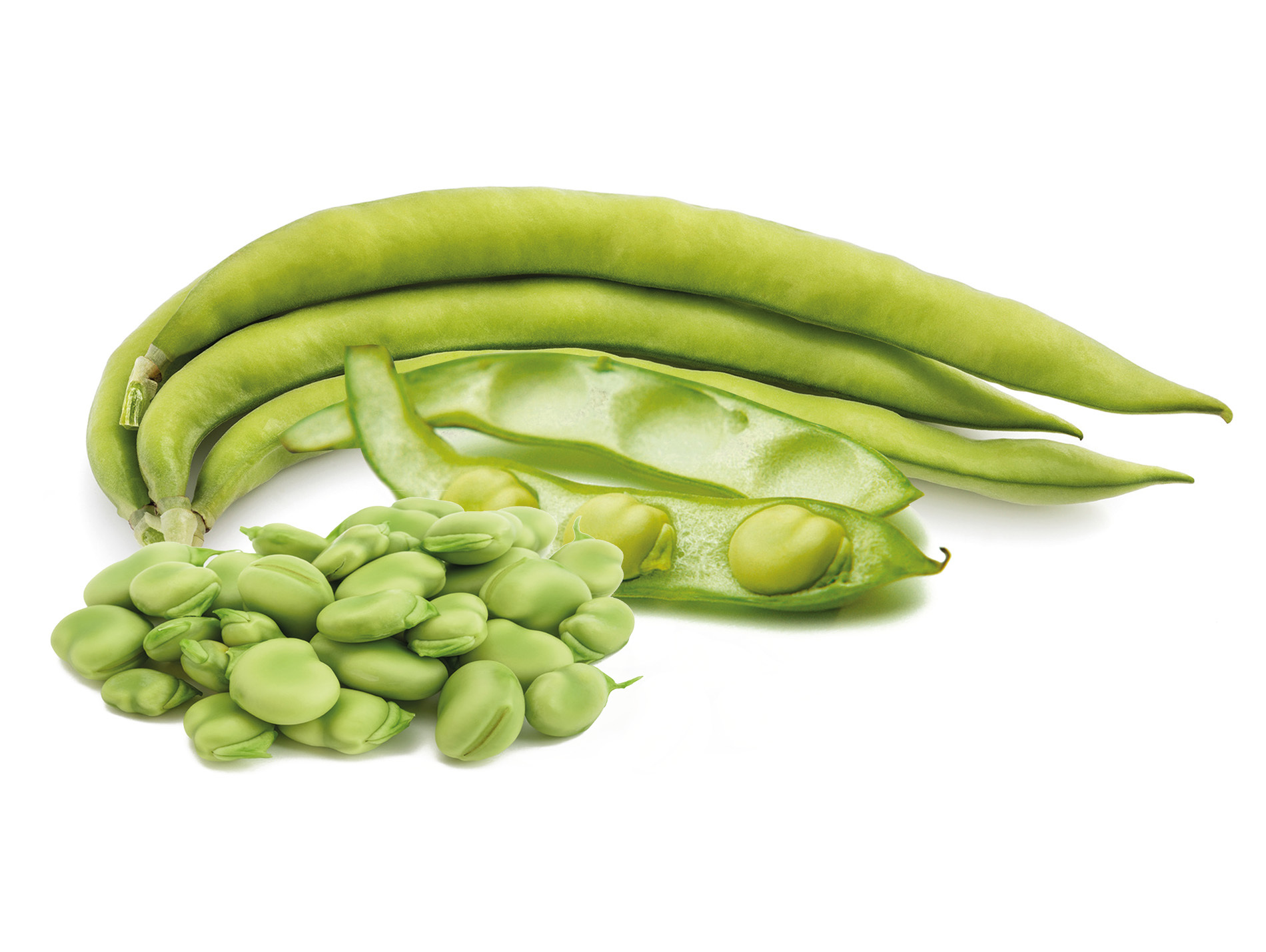 Graines fève de Séville GONDIAN à longue cosse 250g