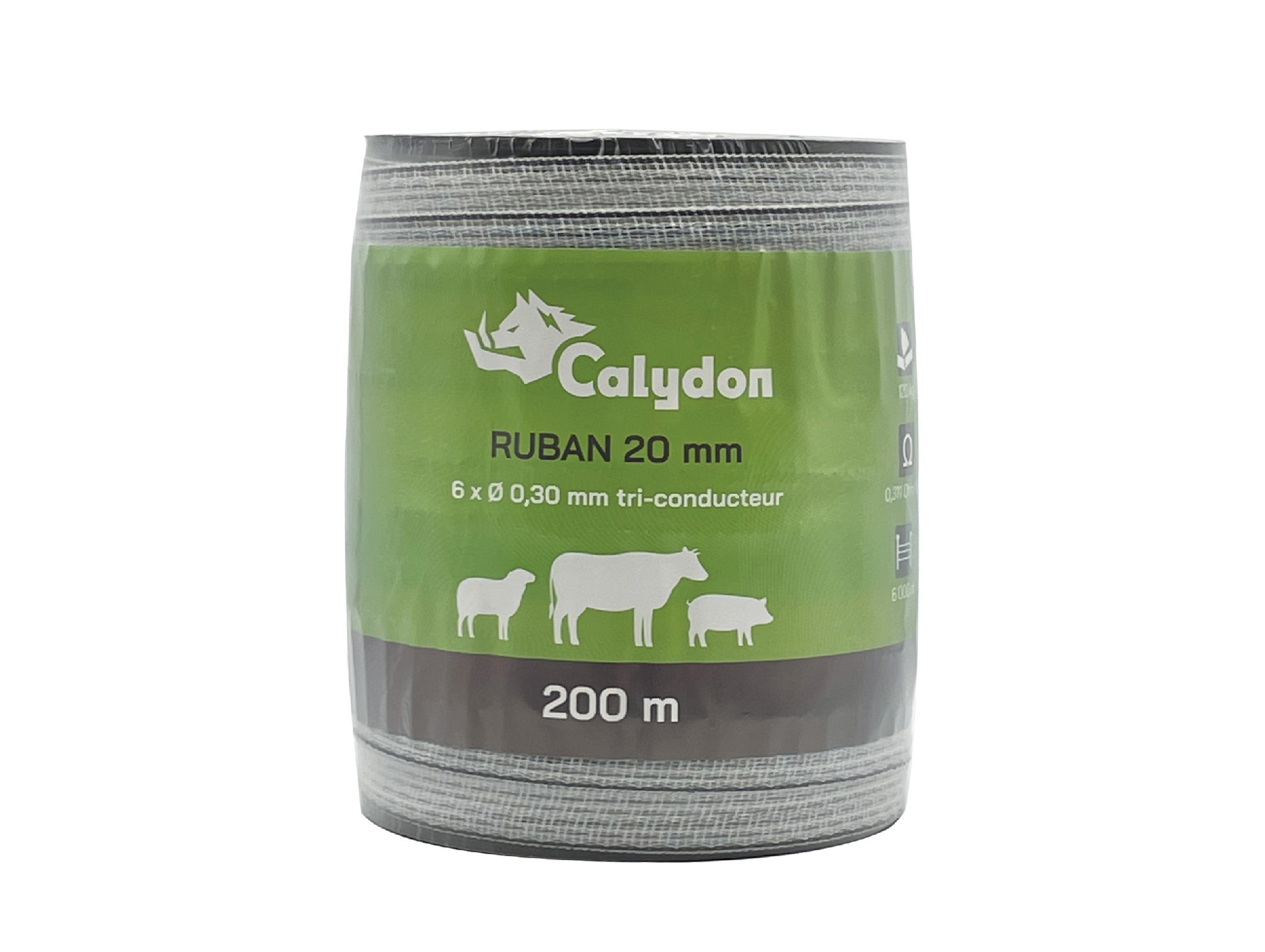 Ruban CALYDON l.20mm x L.200m 6xØ0,30mm