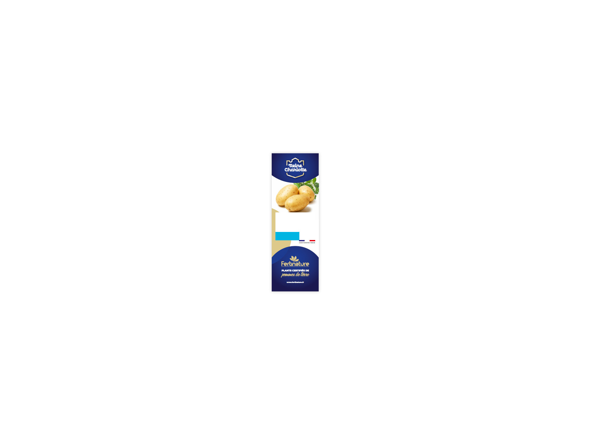 Plants de pommes de terre Reine Charlotte 28/35 3kg