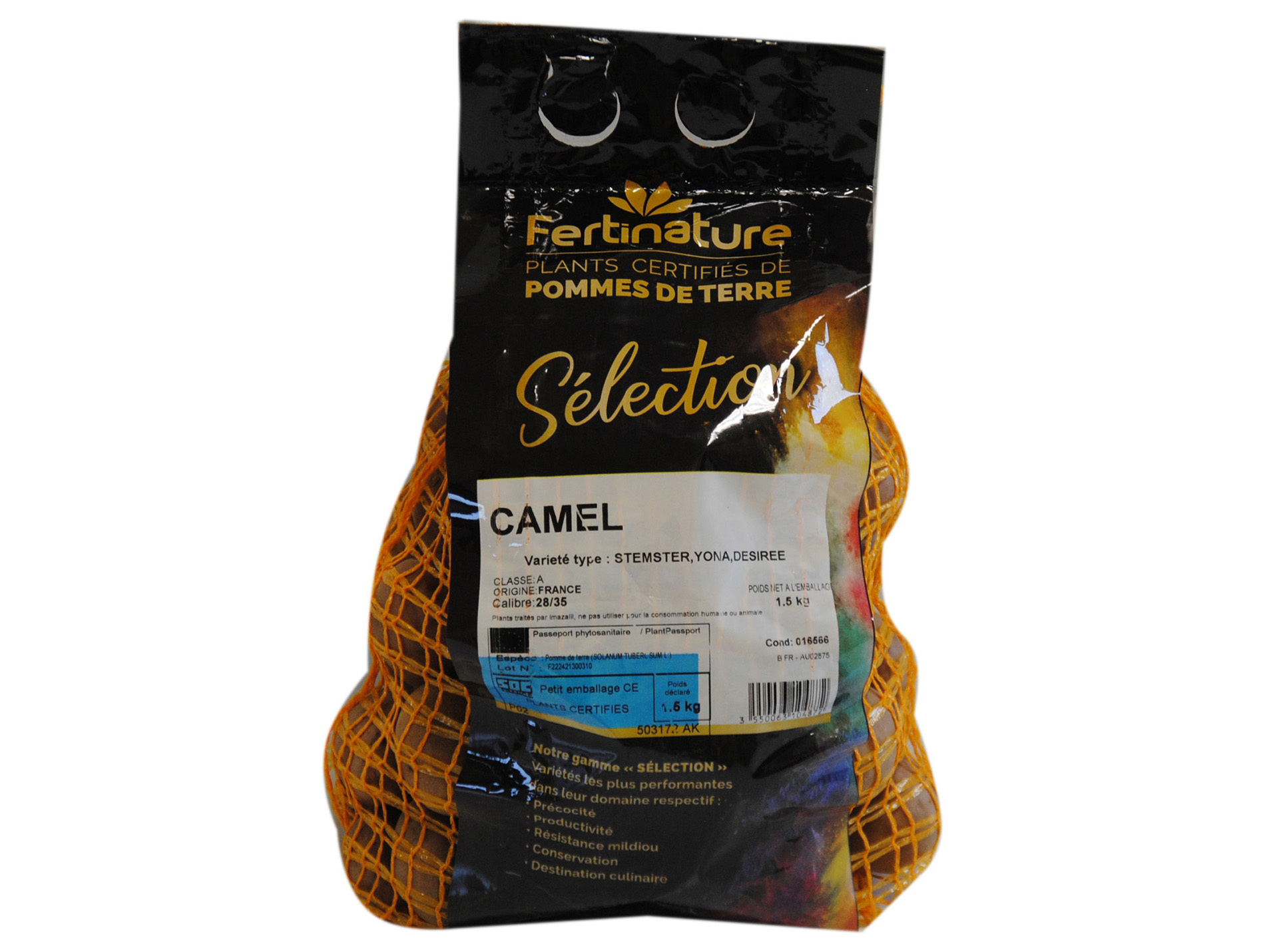 Plants de pommes de terre Camel 28/35 1,5kg + 500g OFFERTS